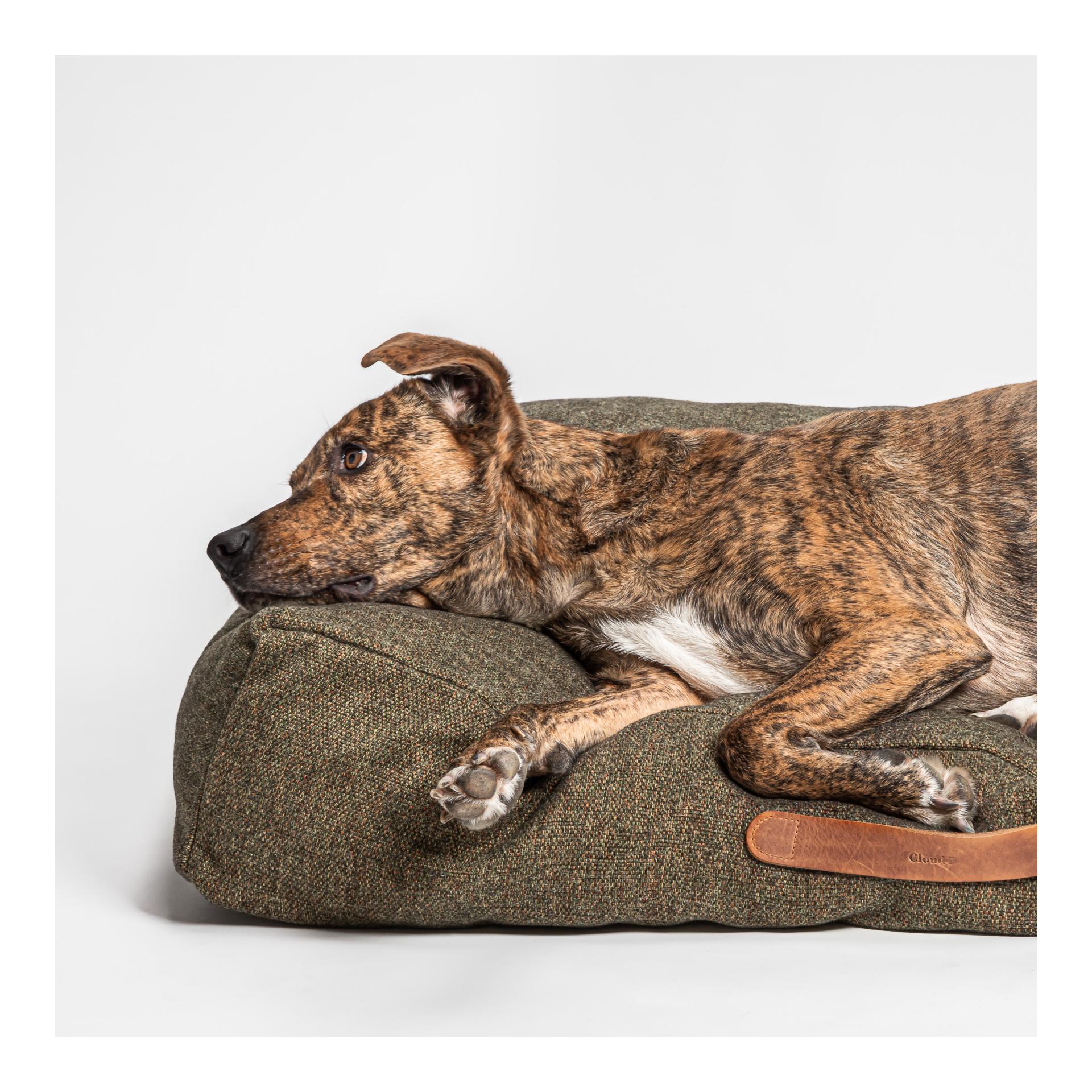 Cloud 7 Coussin pour chien Homey - mélange olive