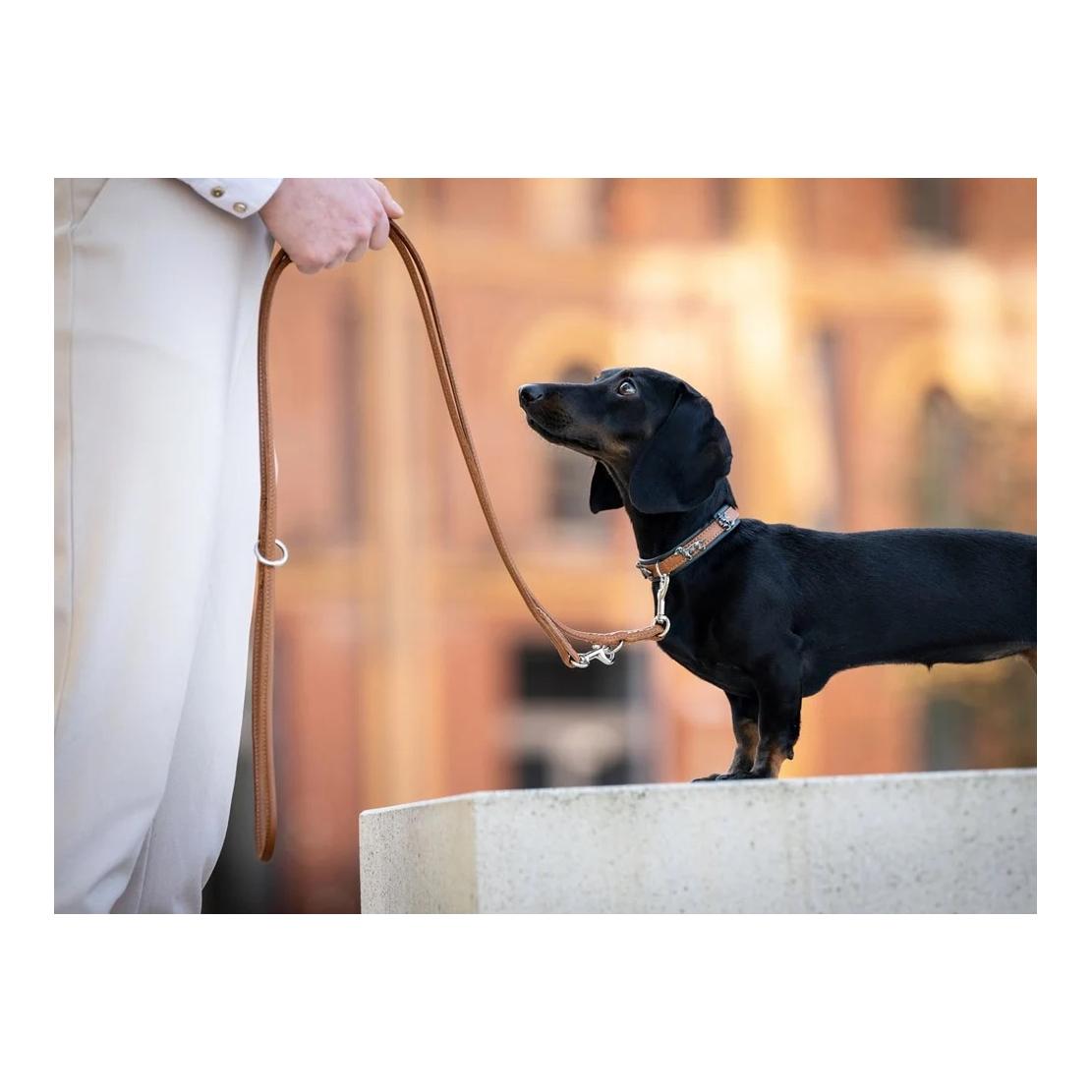 Maul Lederwaren Hundehalsband Mini Dackel