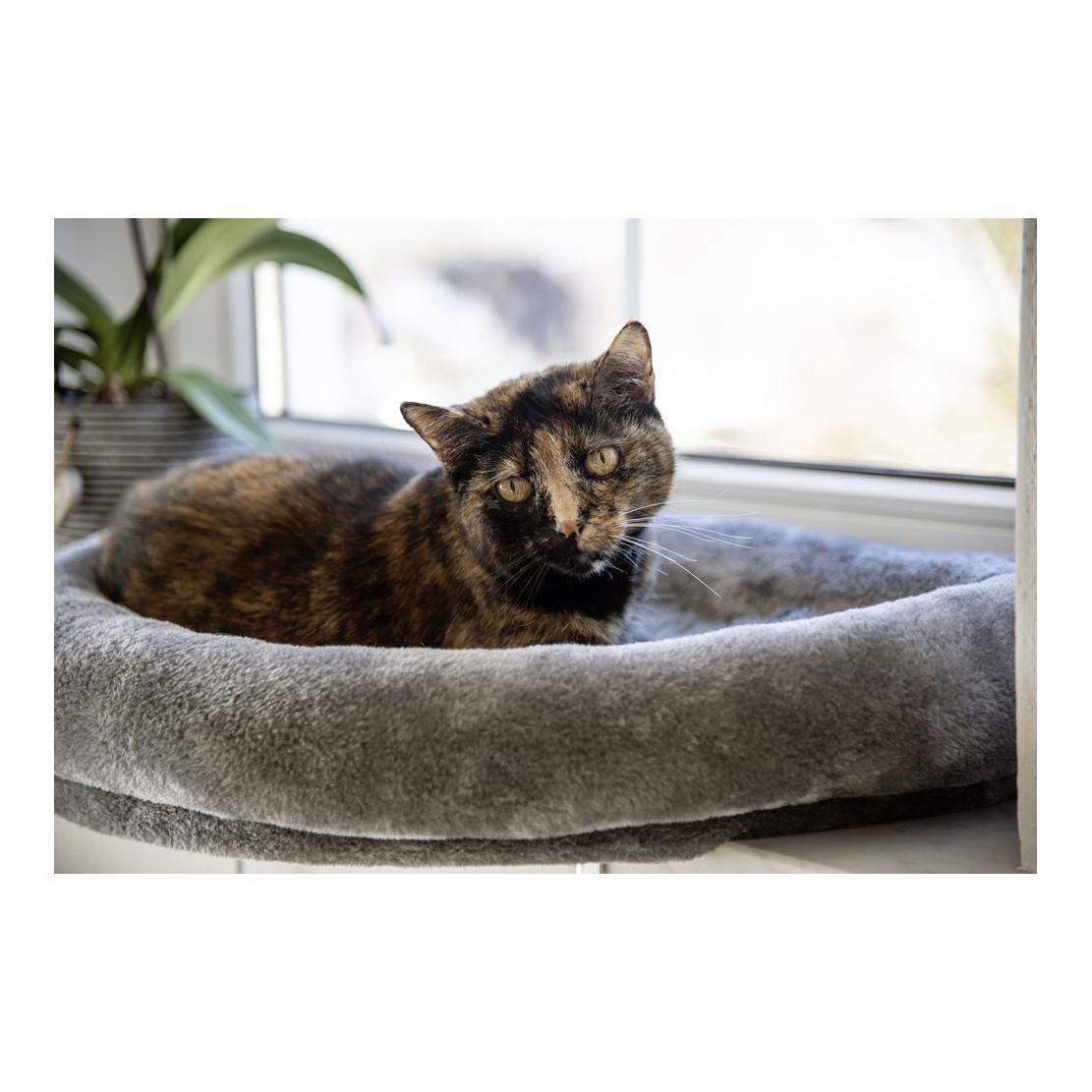 Kerbl Pet Lit d'appoint pour fenêtre - gris