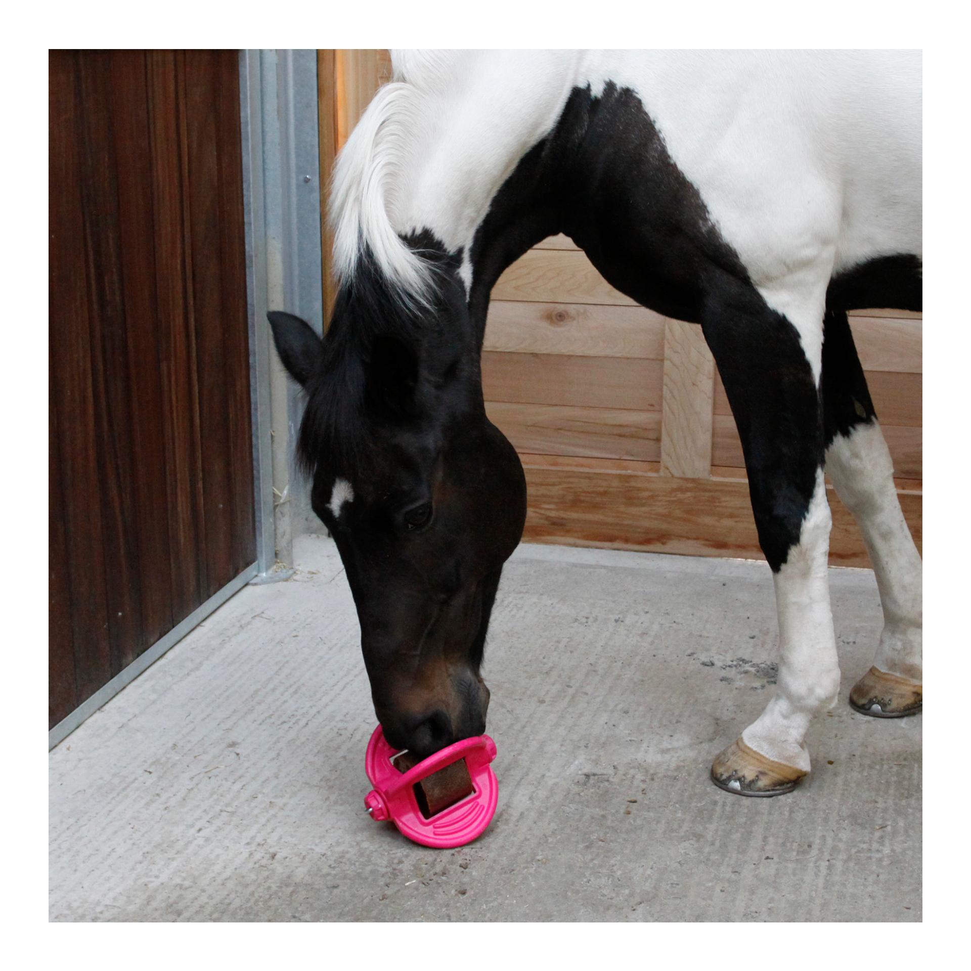 Bizzy Horse Bizzy Ball - pink