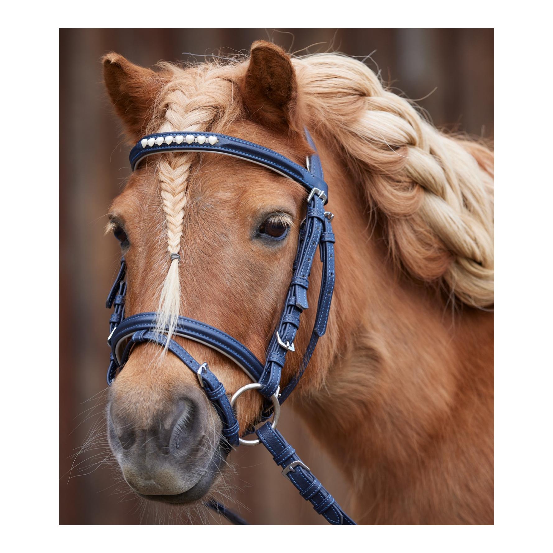 Waldhausen Ponyzaum Lucky Heart