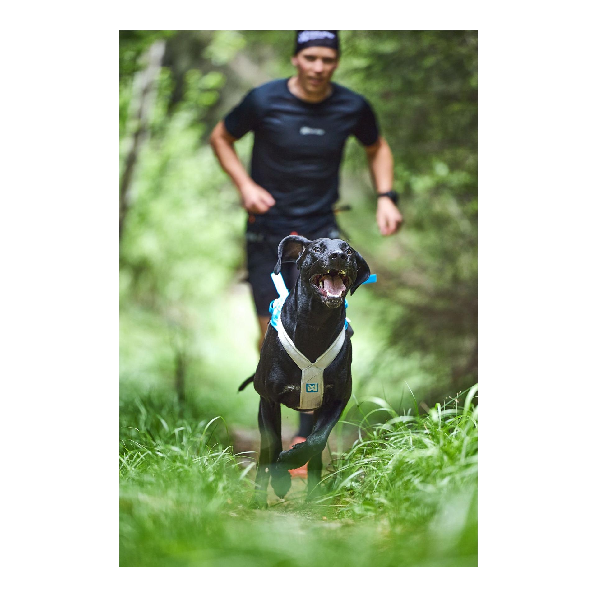 Non-stop Dogwear Zuggeschirr Freemotion Harness 5.0