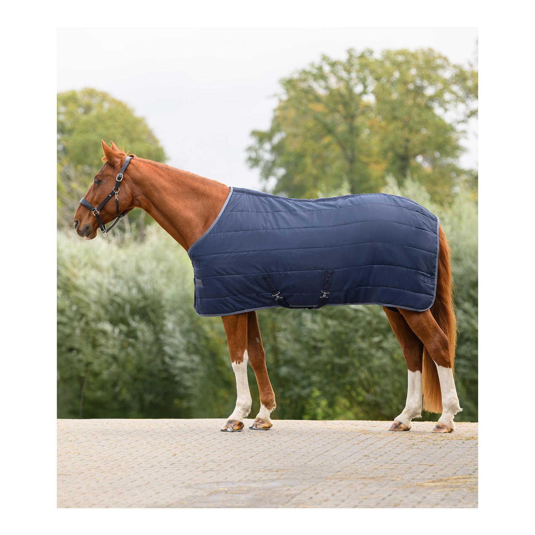 Waldhausen Stalldecke Essential 200g