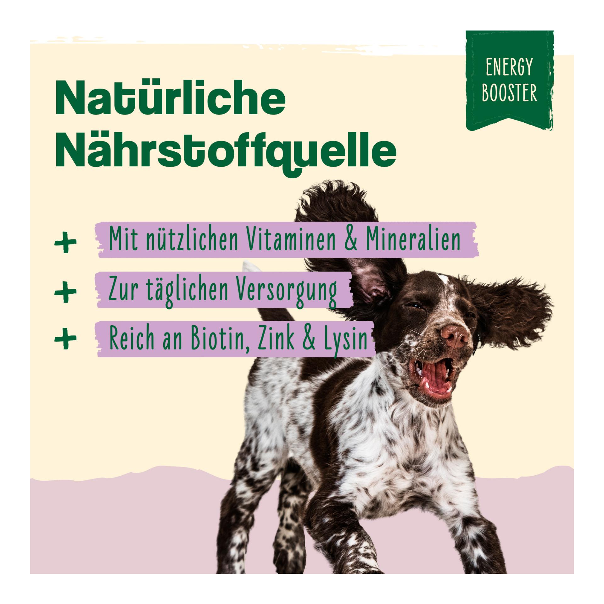 IdaPlus Bierhefe Tabletten - optimale Pflege für glänzendes Fell & kräftige Haut