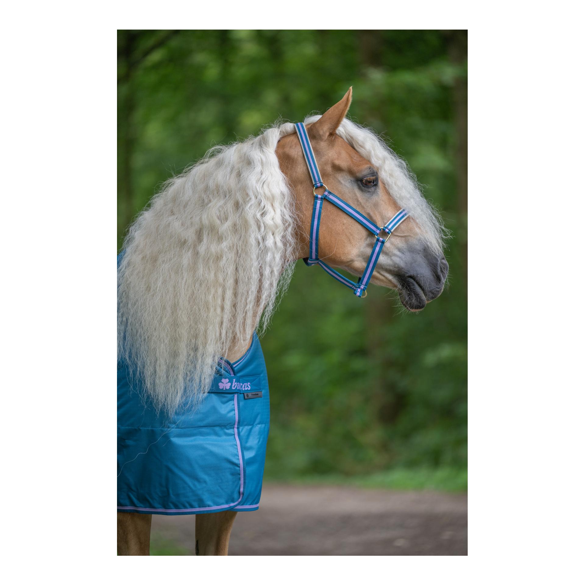 Bucas Weidedecke Freedom Turnout 300g