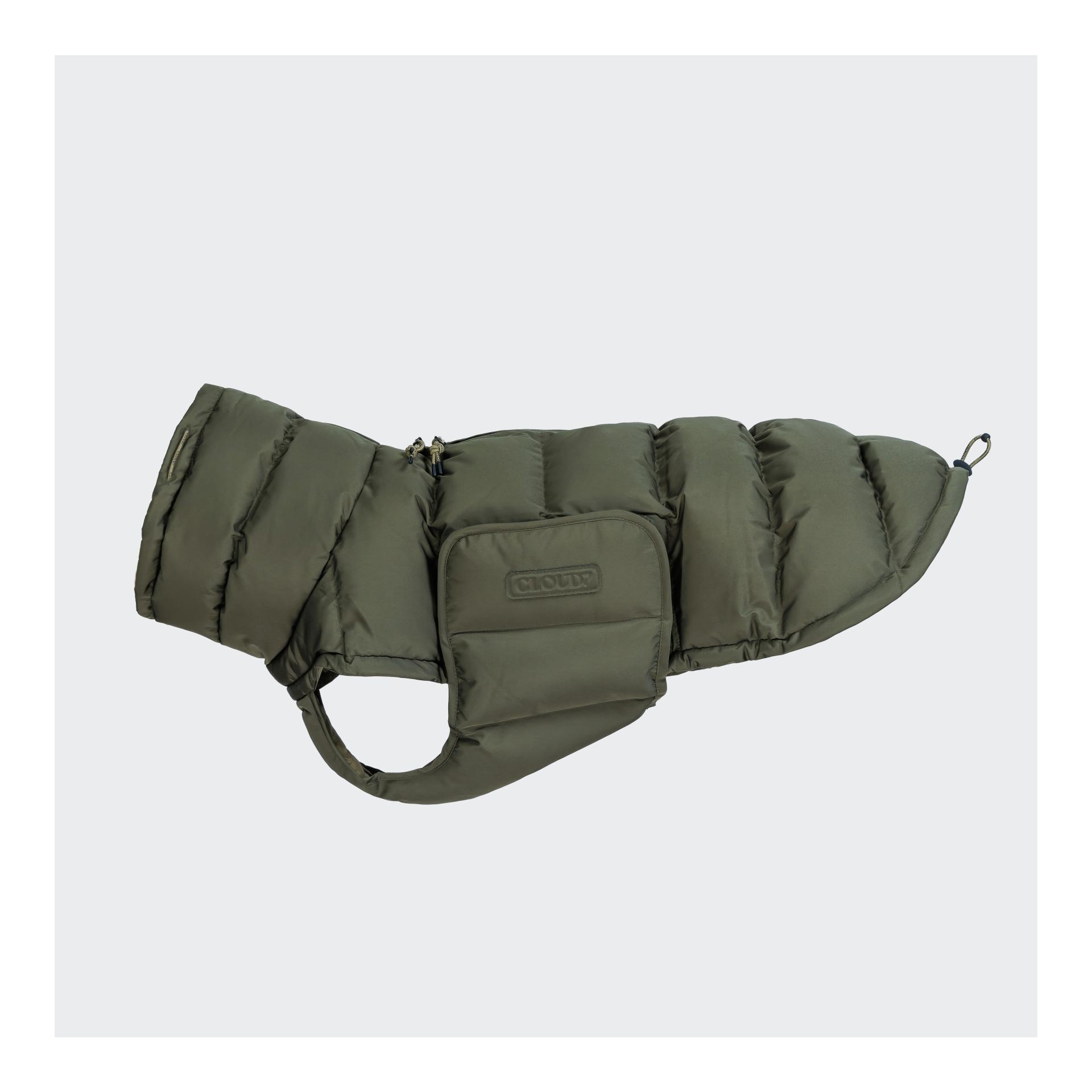 Light Olive