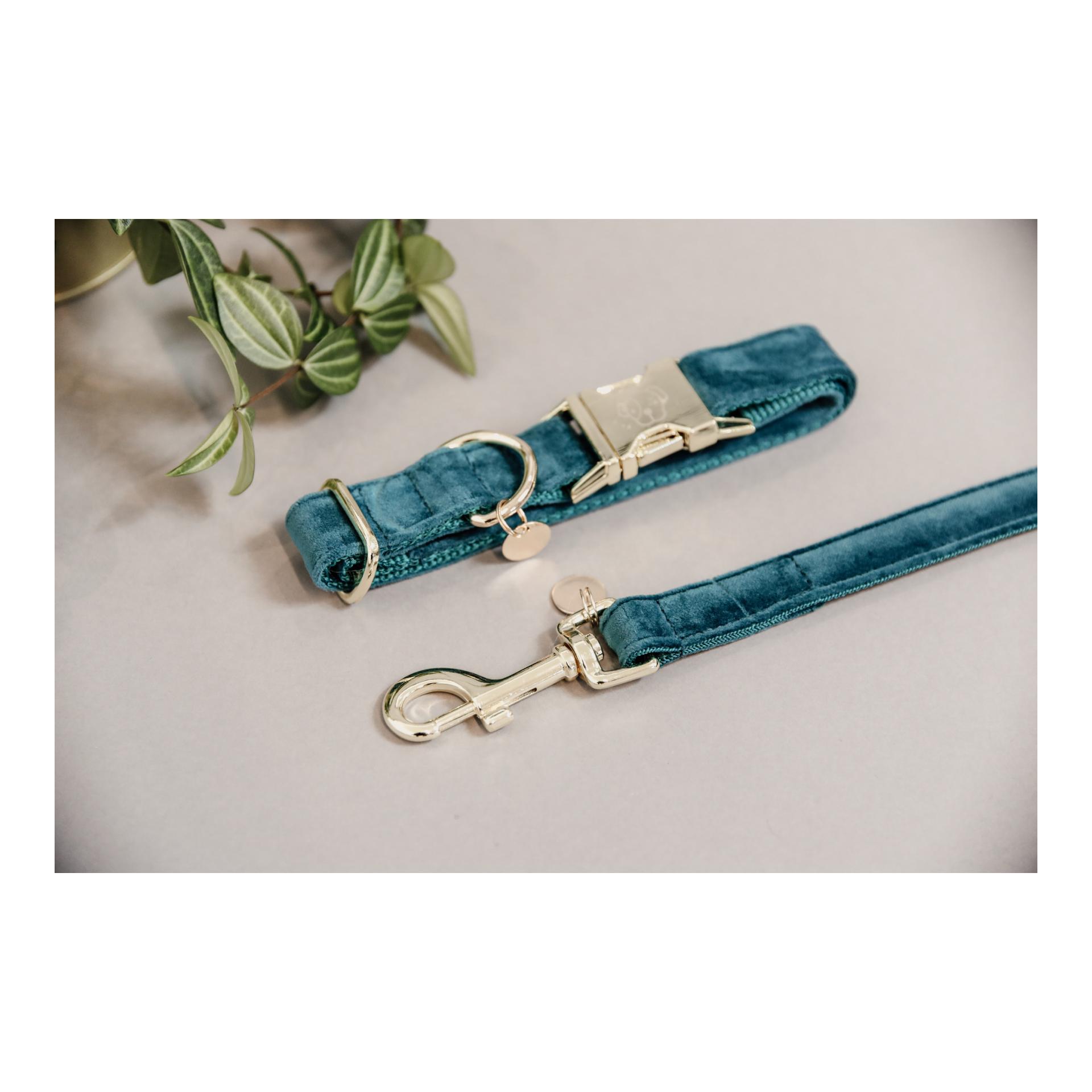 Kentucky Dogwear Hundehalsband Velvet - emerald