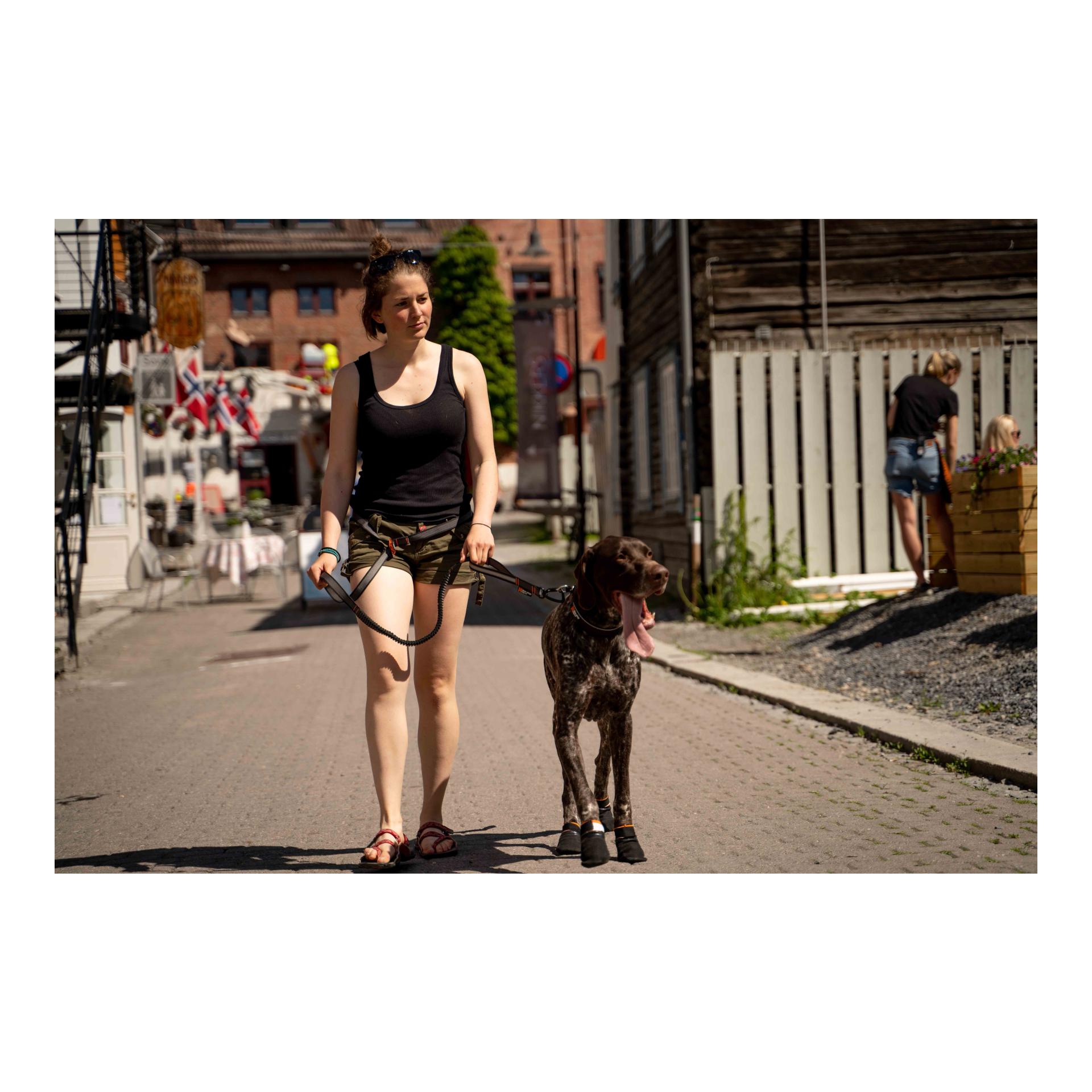 Non-stop Dogwear Protector Booties