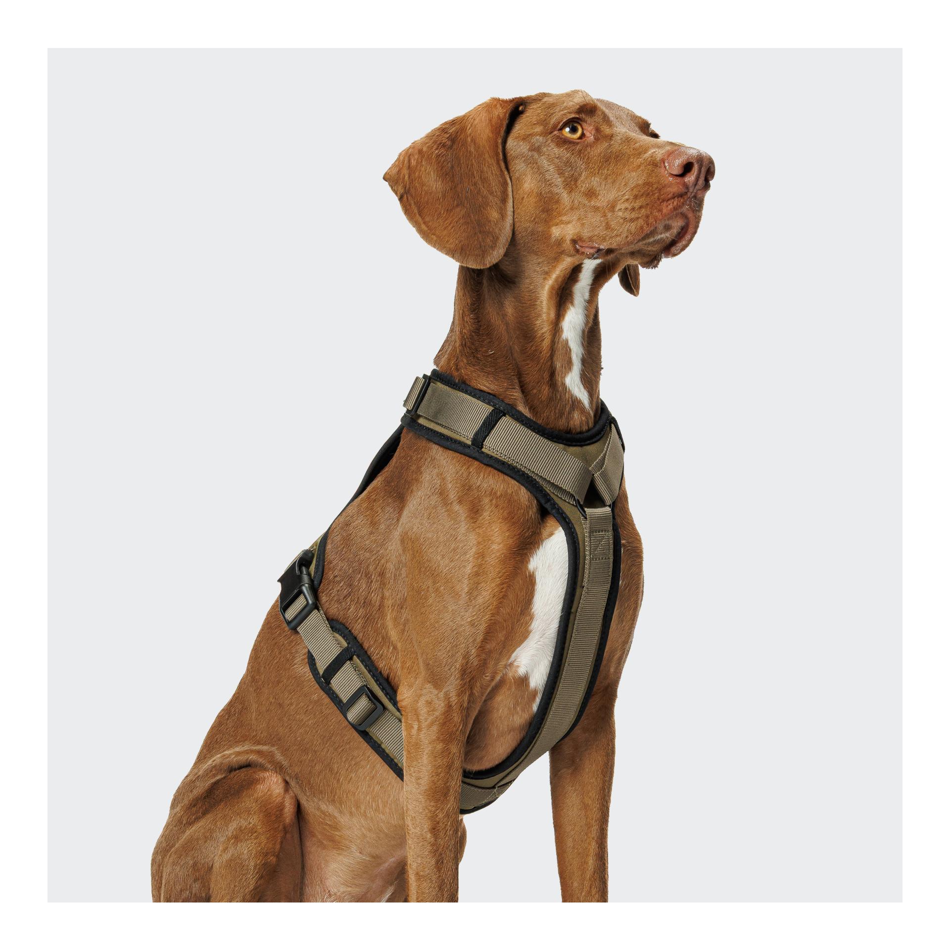 Cloud 7 Y-3-Hundegeschirr