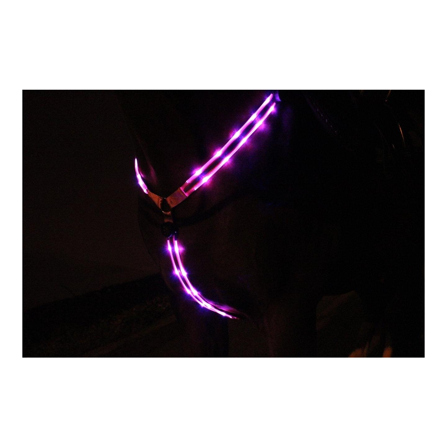 Animal Light LED Leuchtvorgeschirr 2.0
