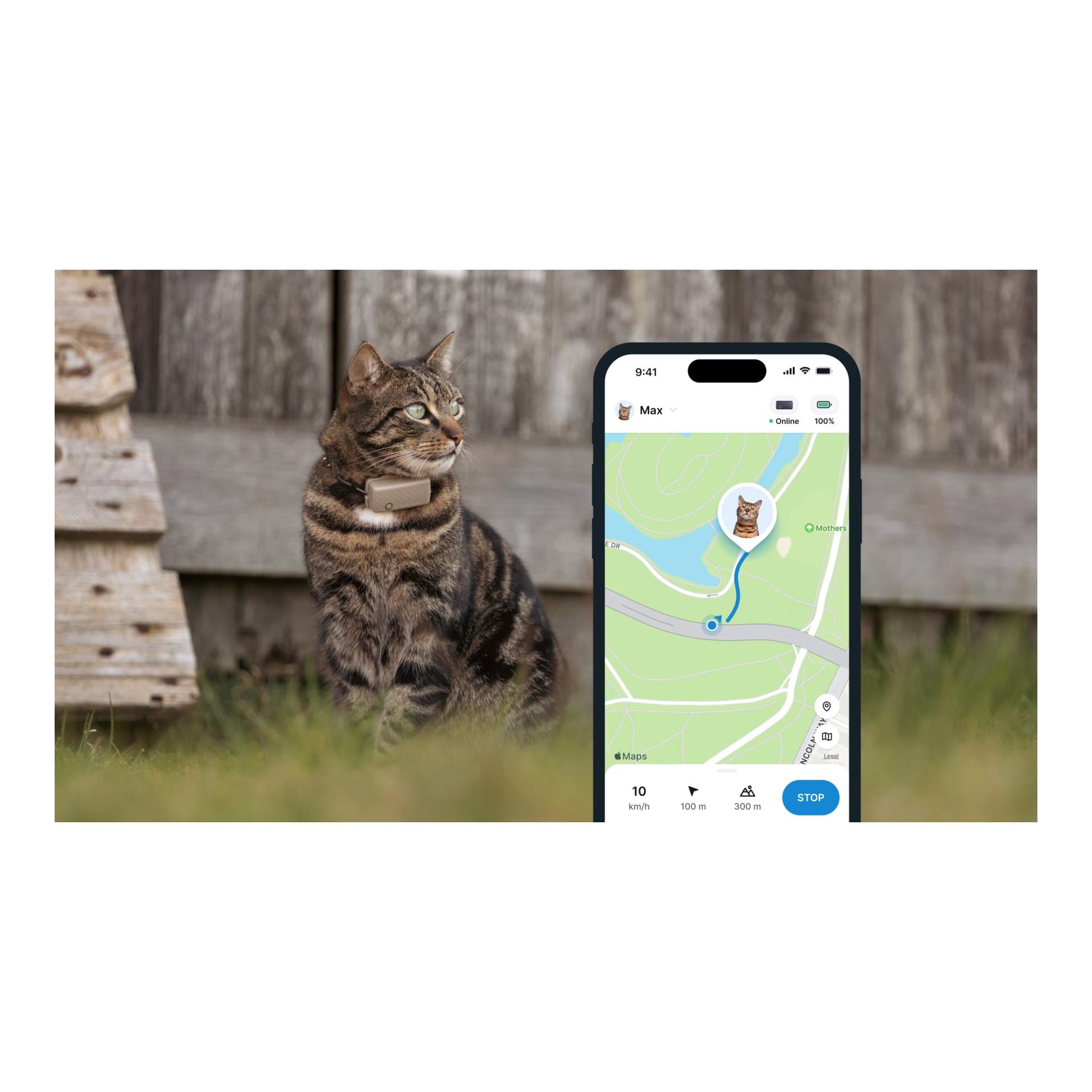 Tractive Tracker GPS pour chats CAT Mini