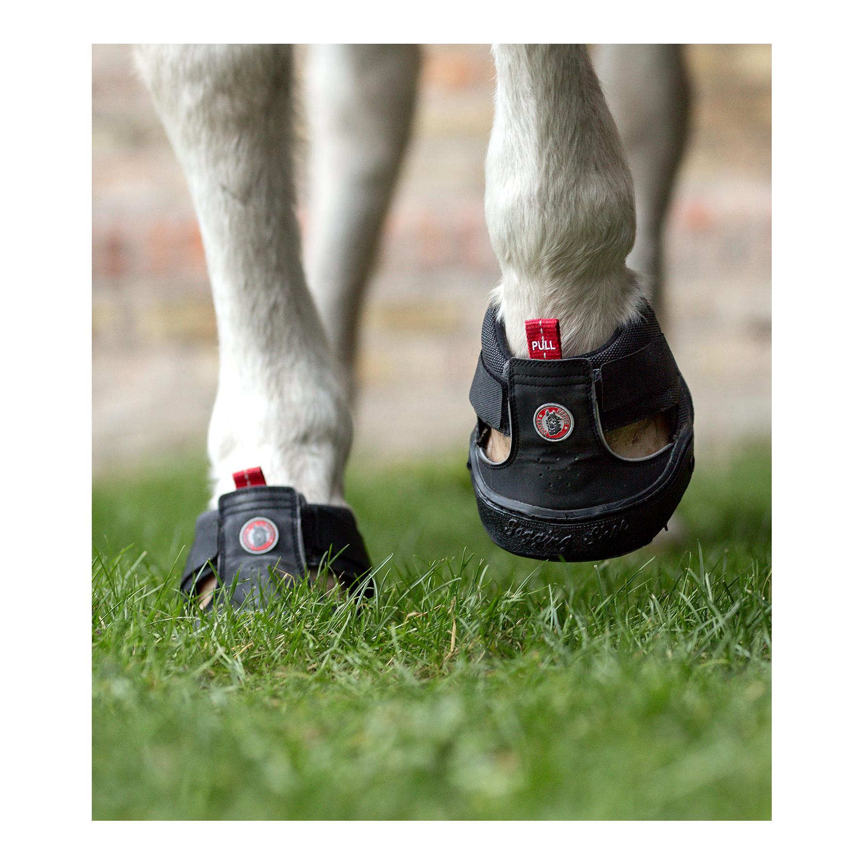 Equine Fusion Equine Fusion Trekking Shoe Regular