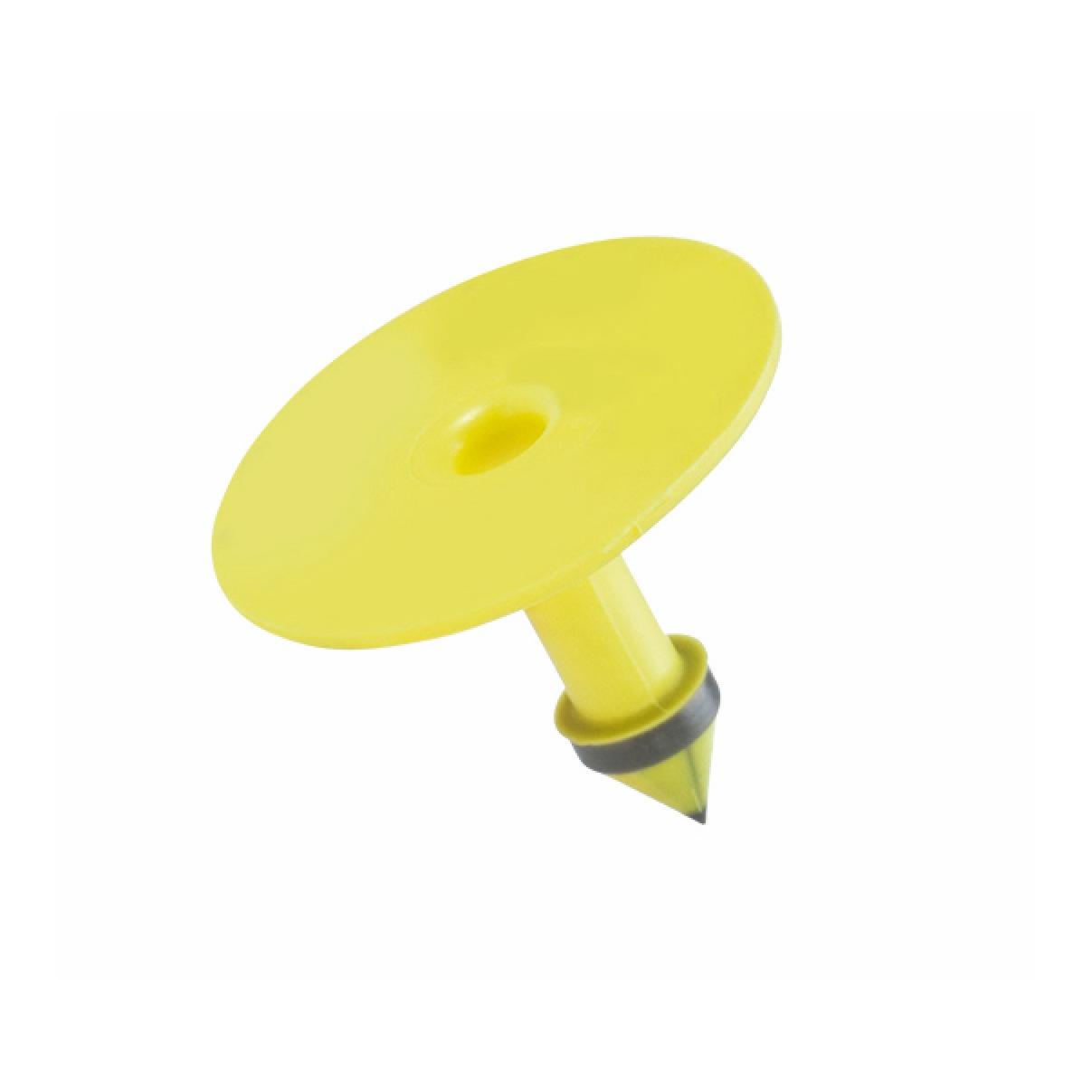 Caisley MultiFlex R - Male - 50 Stück - gelb
