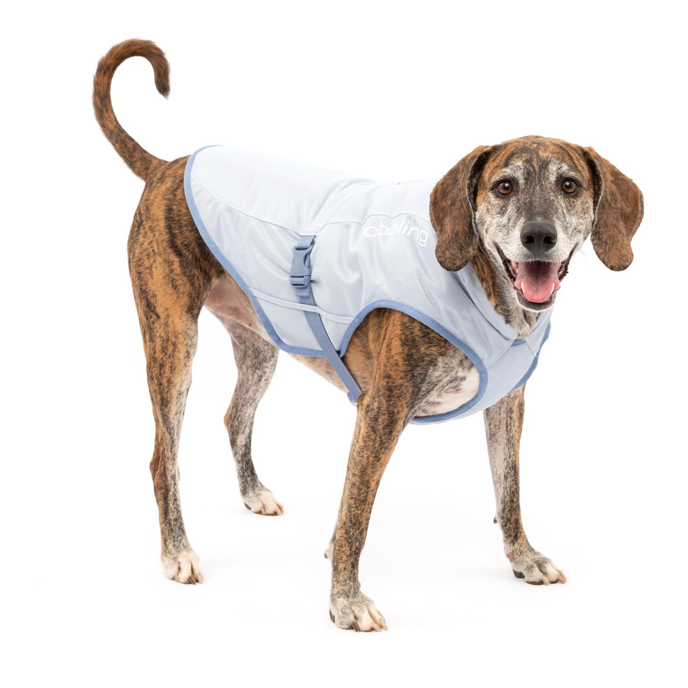 Kurgo Gilet réfrigérant pour chiens
