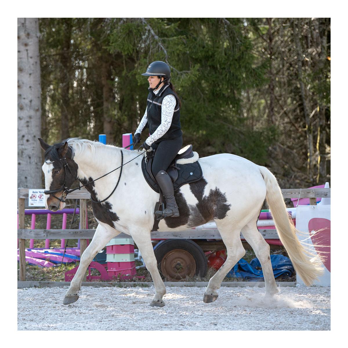 Soulhorse Teddyfleece Weste Black Unicorn