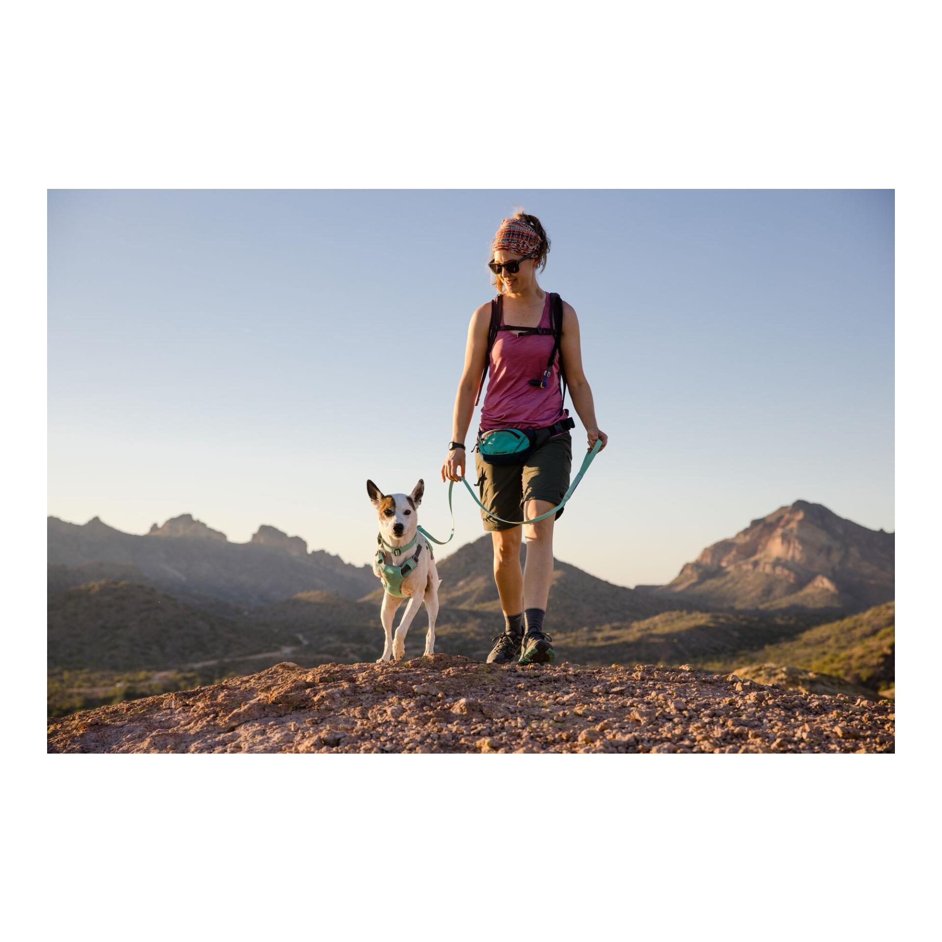 Ruffwear Harnais Swamp Cooler Zip™