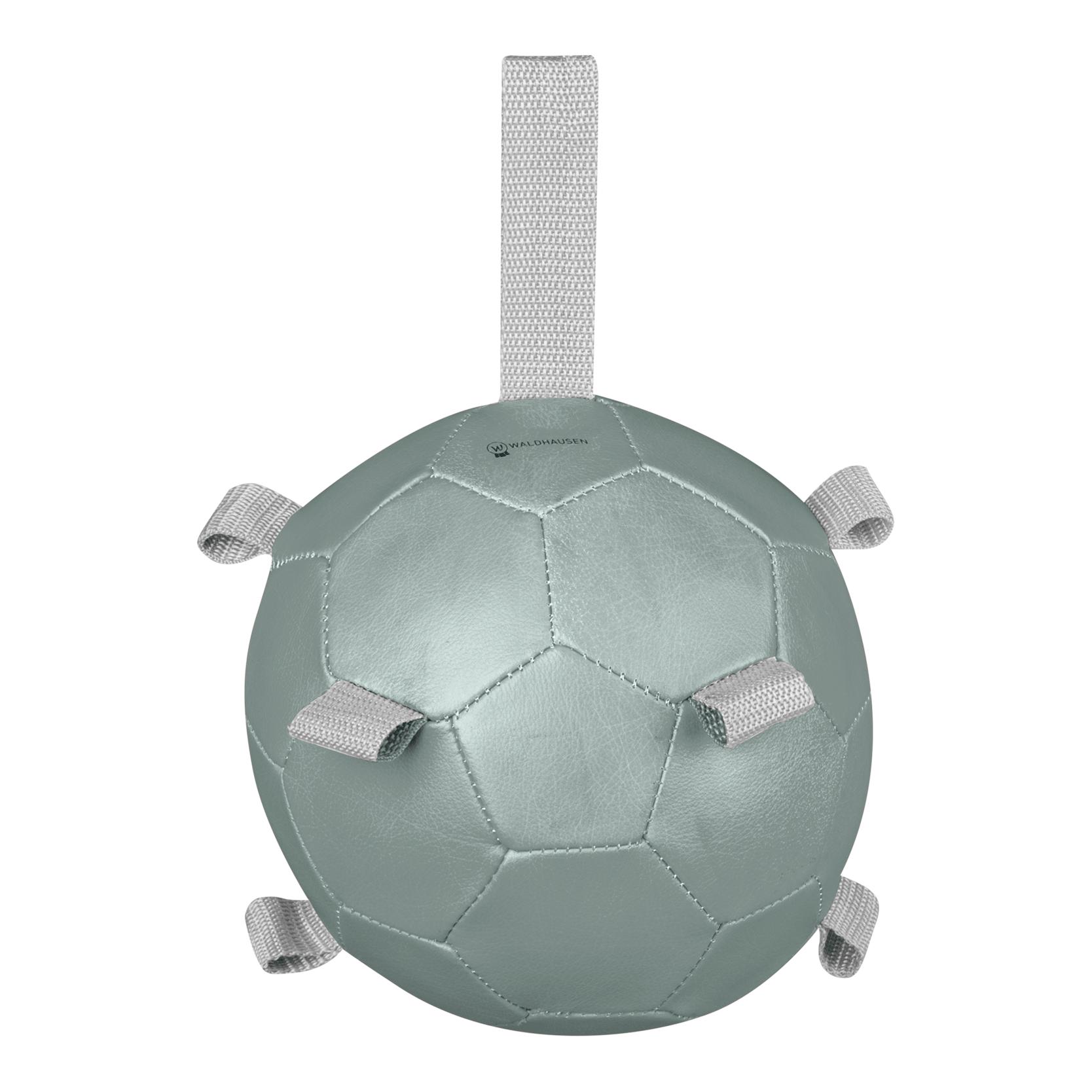 Waldhausen Karottenball Mistel