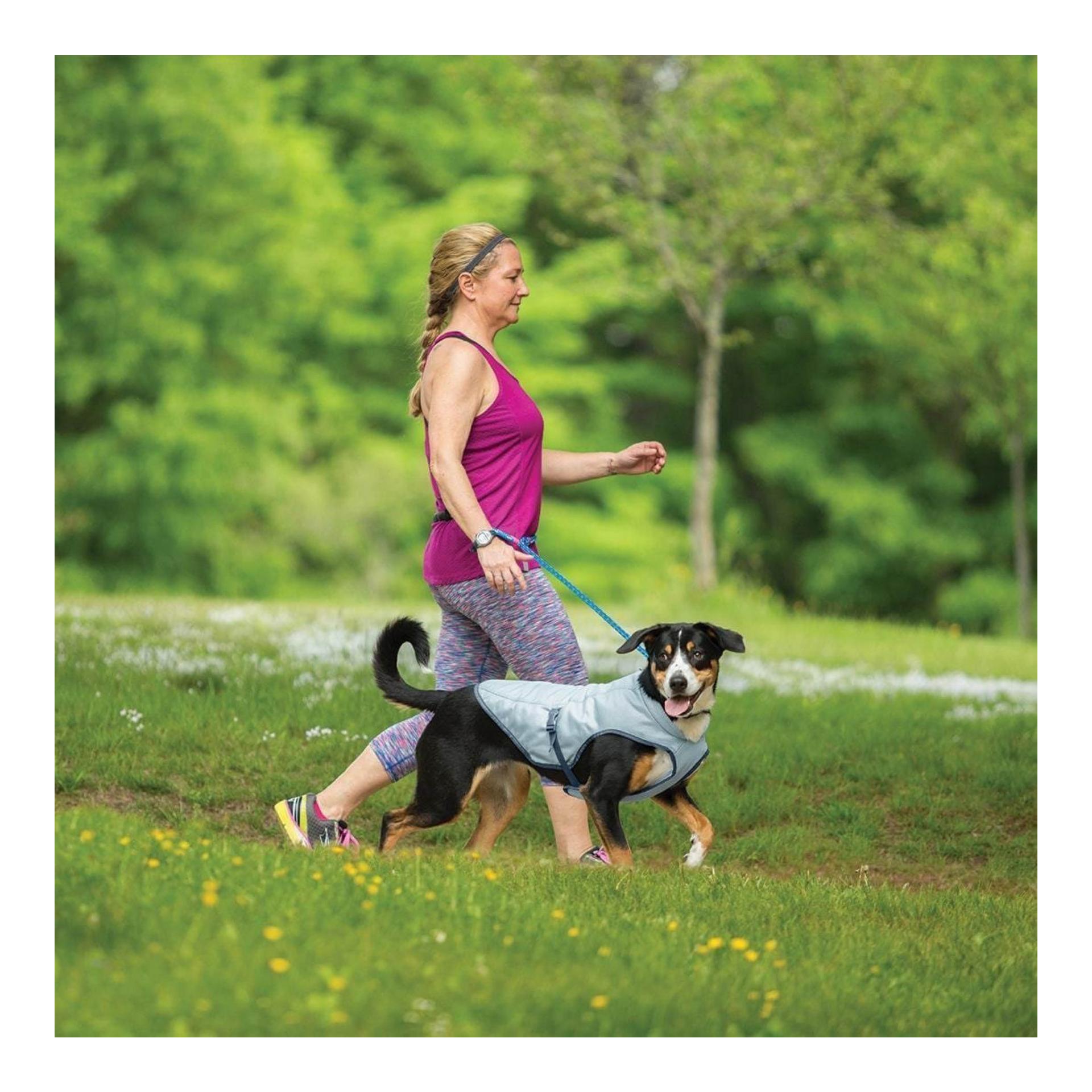 Kurgo Gilet réfrigérant pour chiens