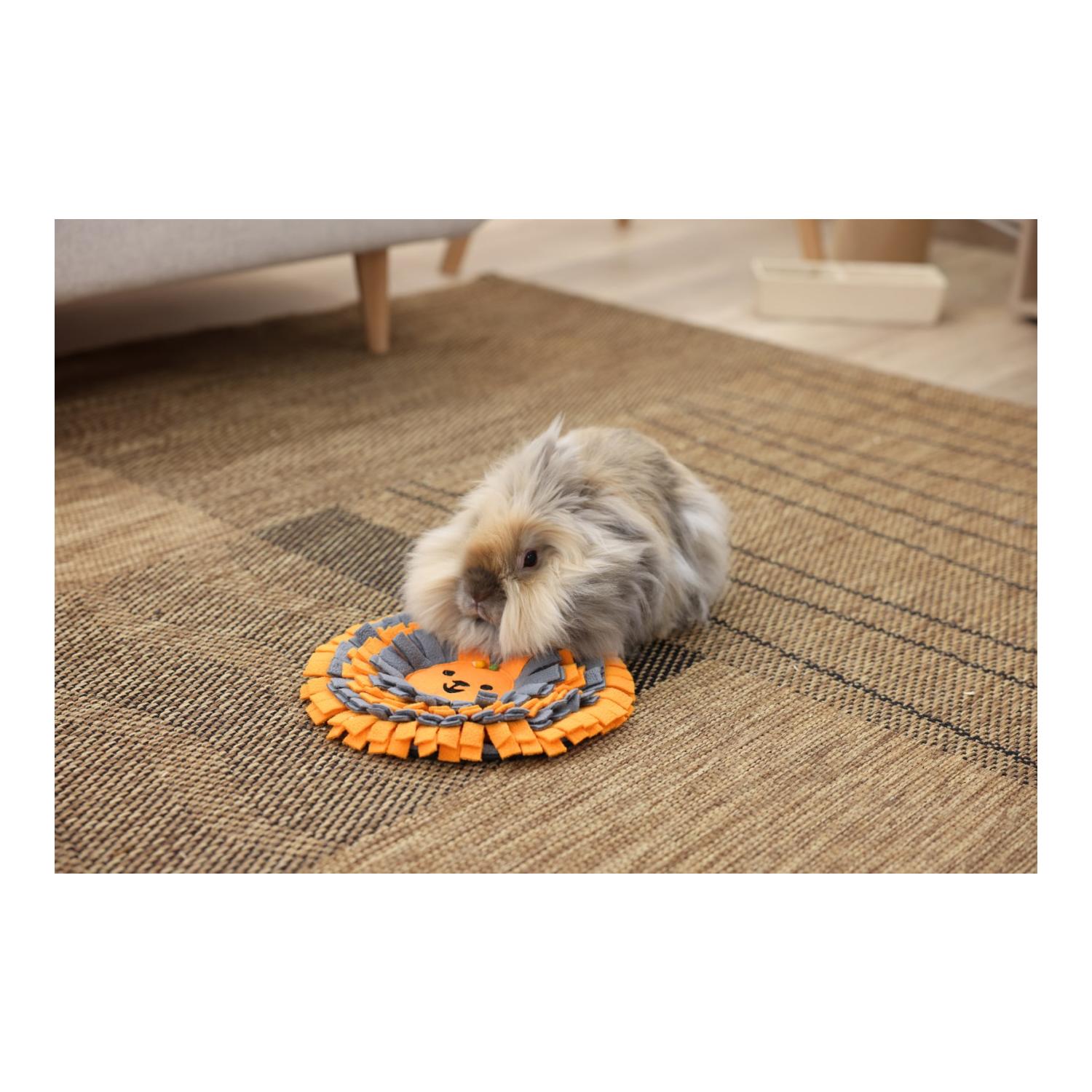 Kerbl Pet Tapis à fouiller