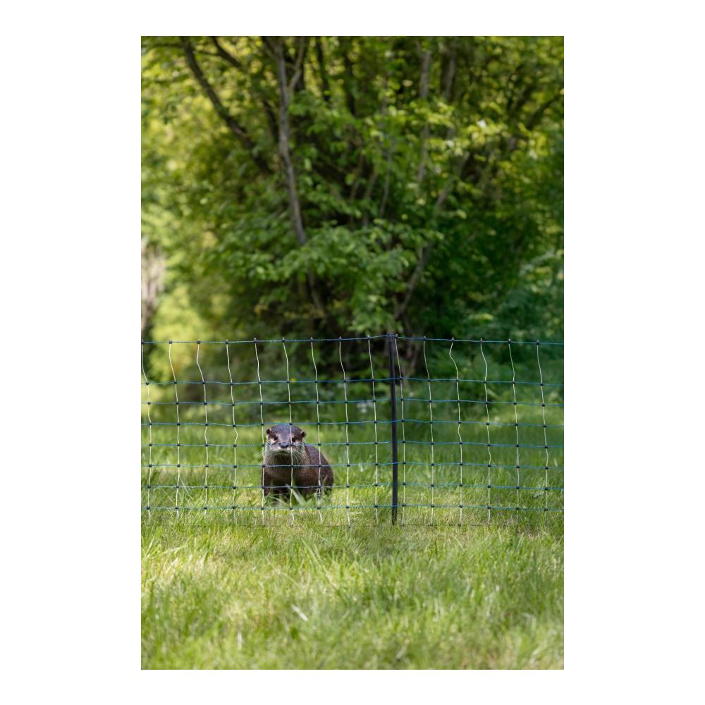 AKO Fischotternetz & Waschbärnetz 50 m x 50 cm – elektrifizierbar