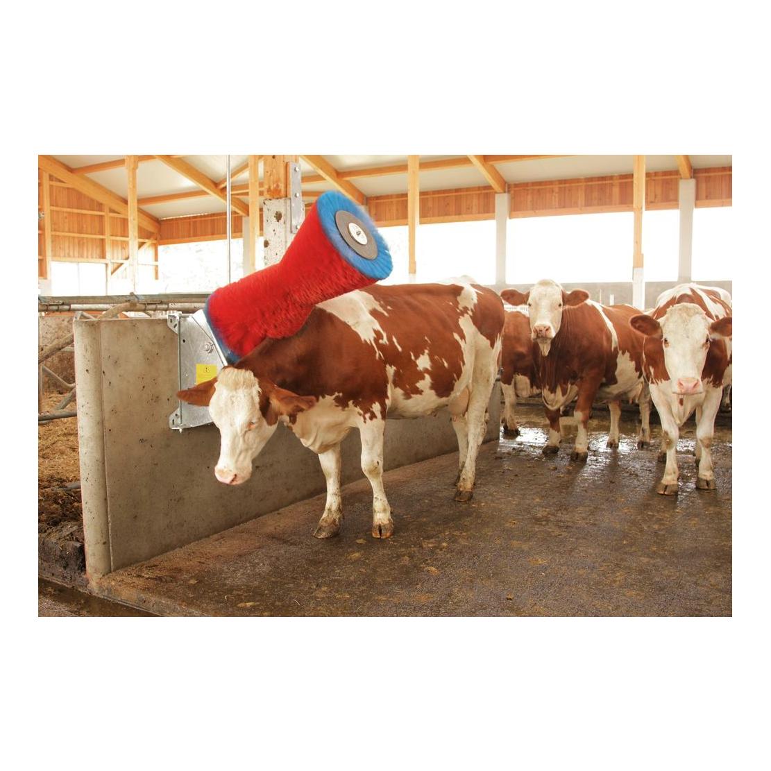 Happycow Kuhputzmaschine HAPPYCOW