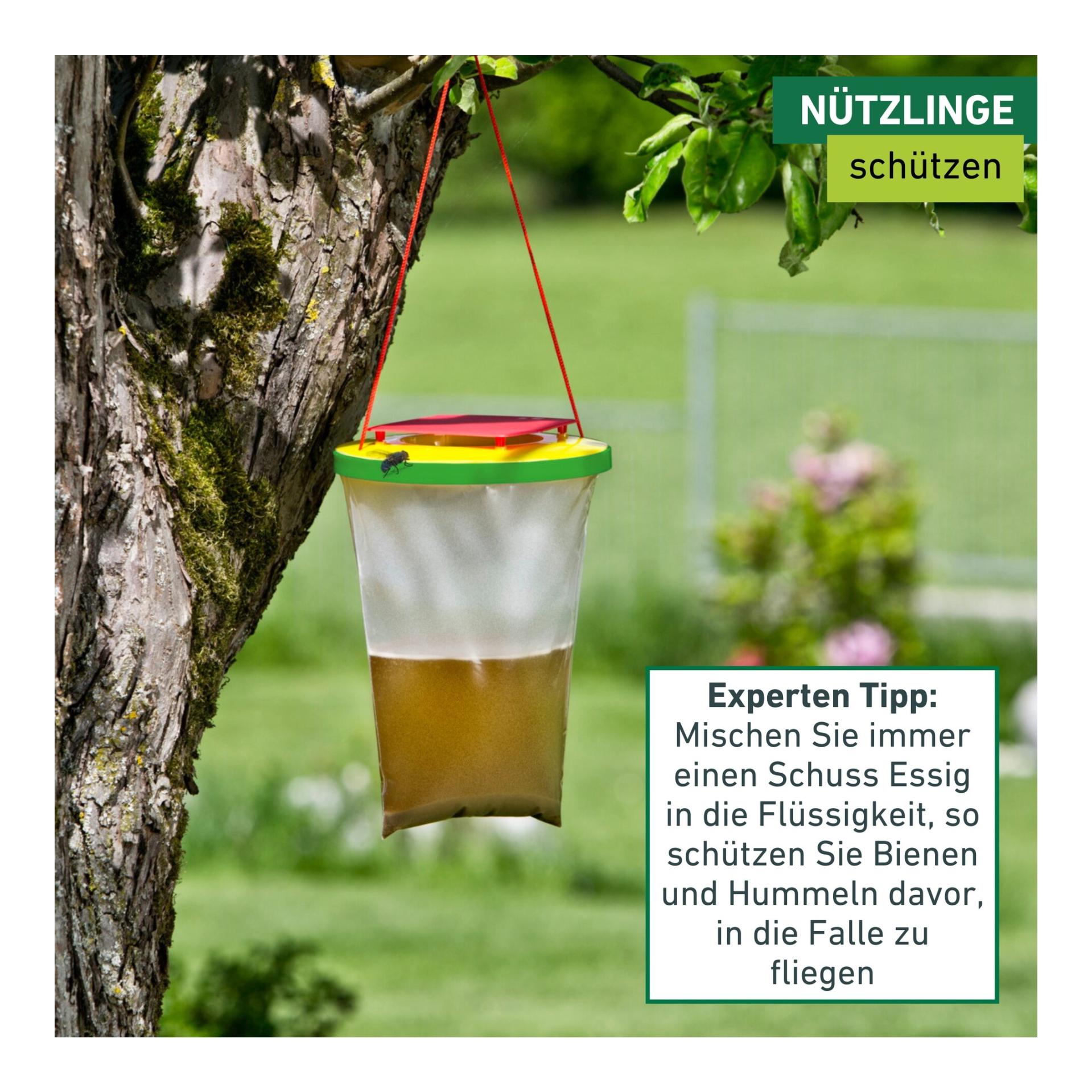 Windhager Einweg - Fliegenfalle