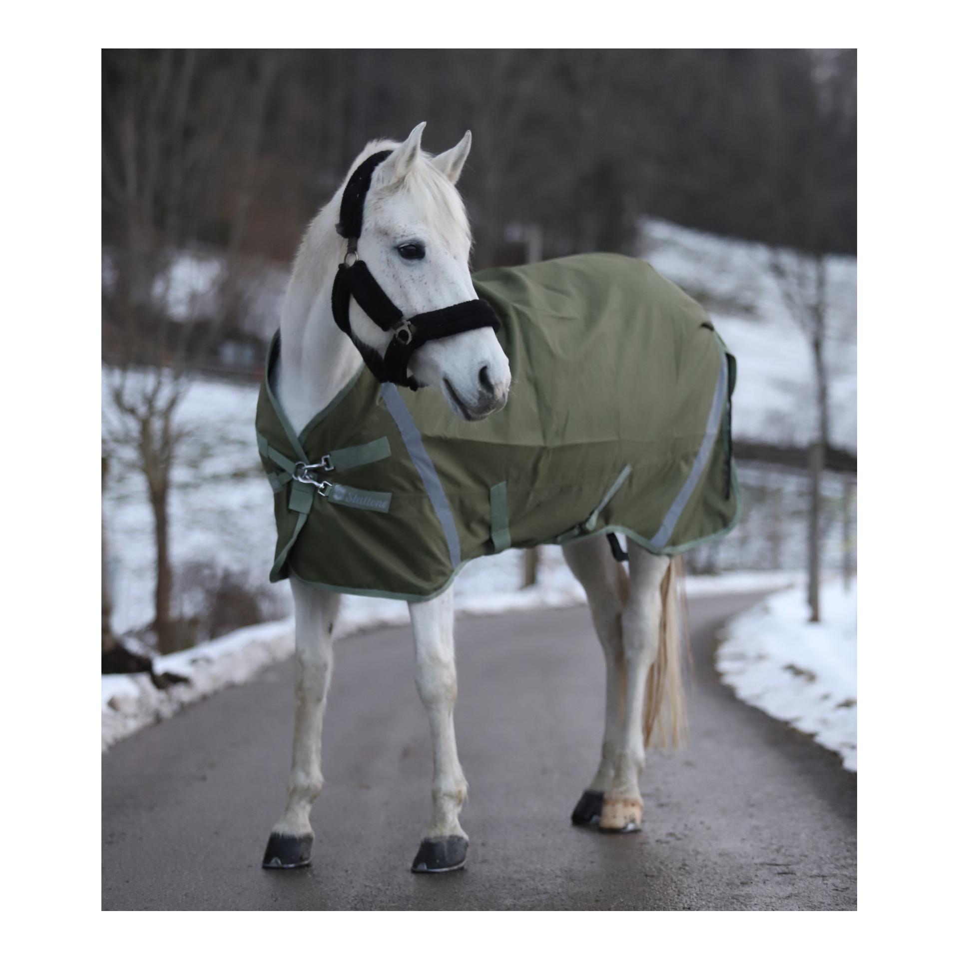 Stallone Regendecke Outdoor Guard High Neck