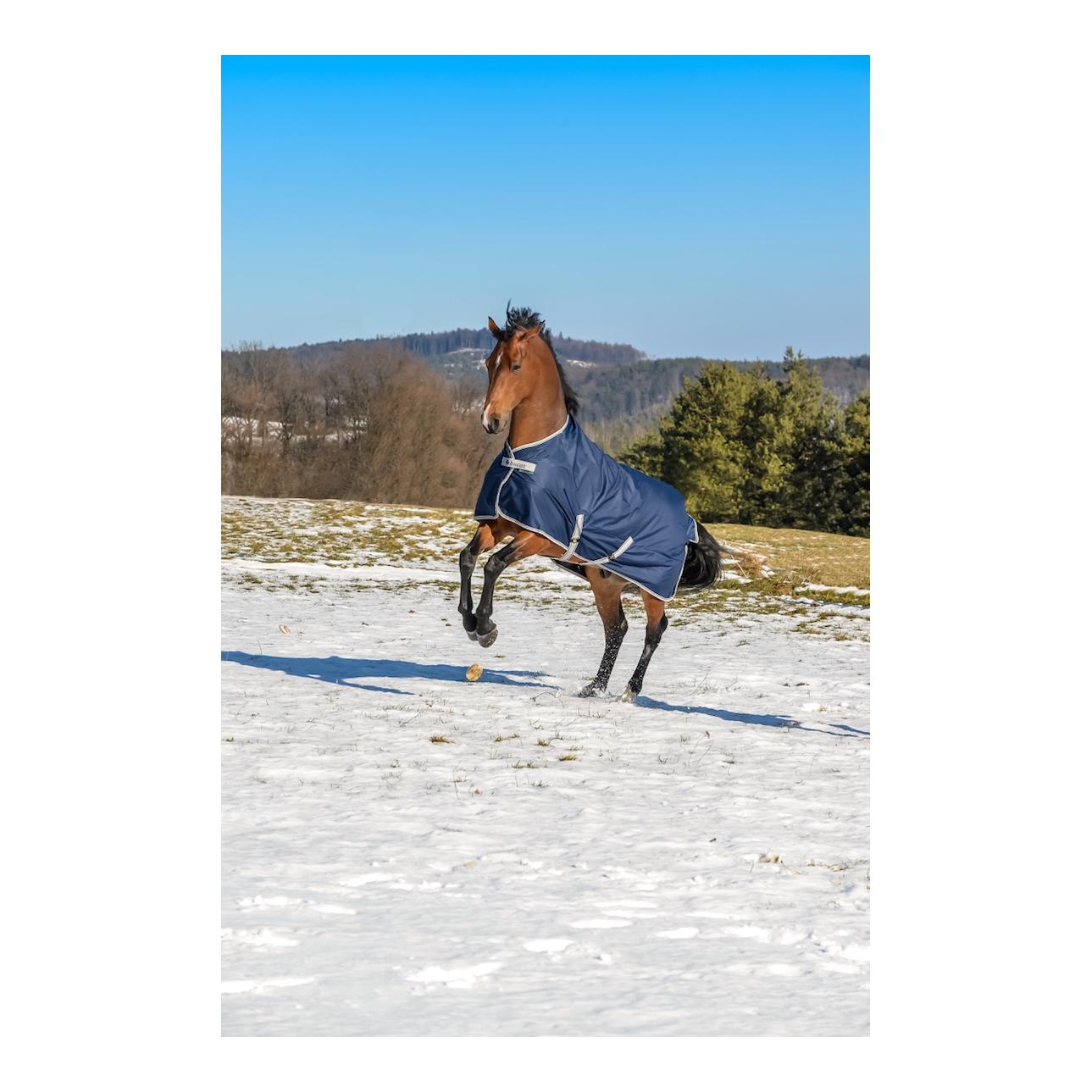 Bucas Winterdecke FREEDOM Turnout 300g - navy/silber
