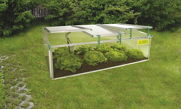 Juwel Premium-Frühbeet BIOSTAR 1500