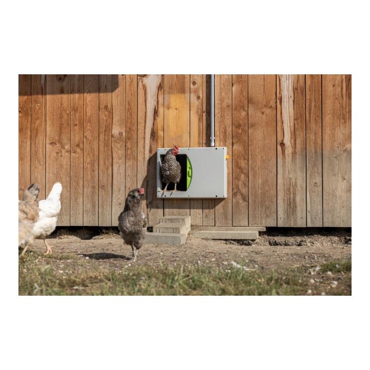 SmartCoop Hühnertür