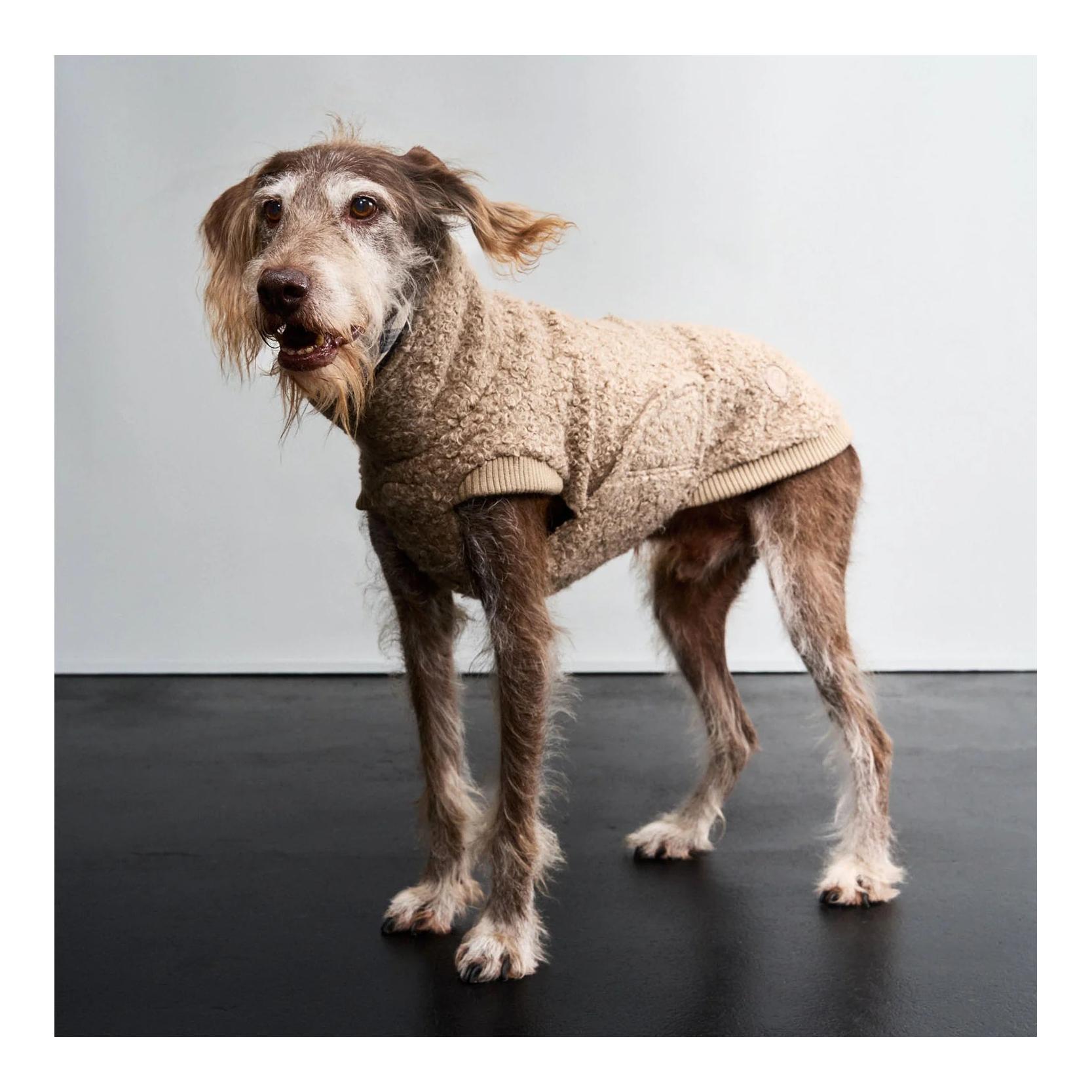 Cloud 7 Pull pour chien Gotland