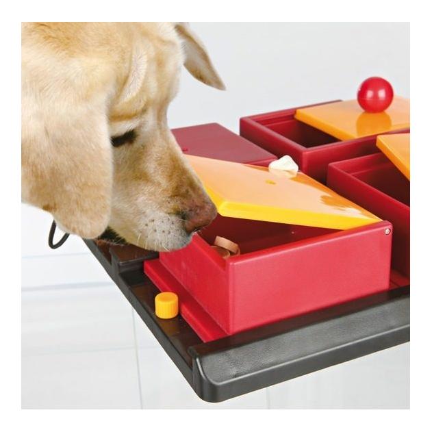 TRIXIE Dog Activity Poker Box Strategiespiel 31x10x31 cm