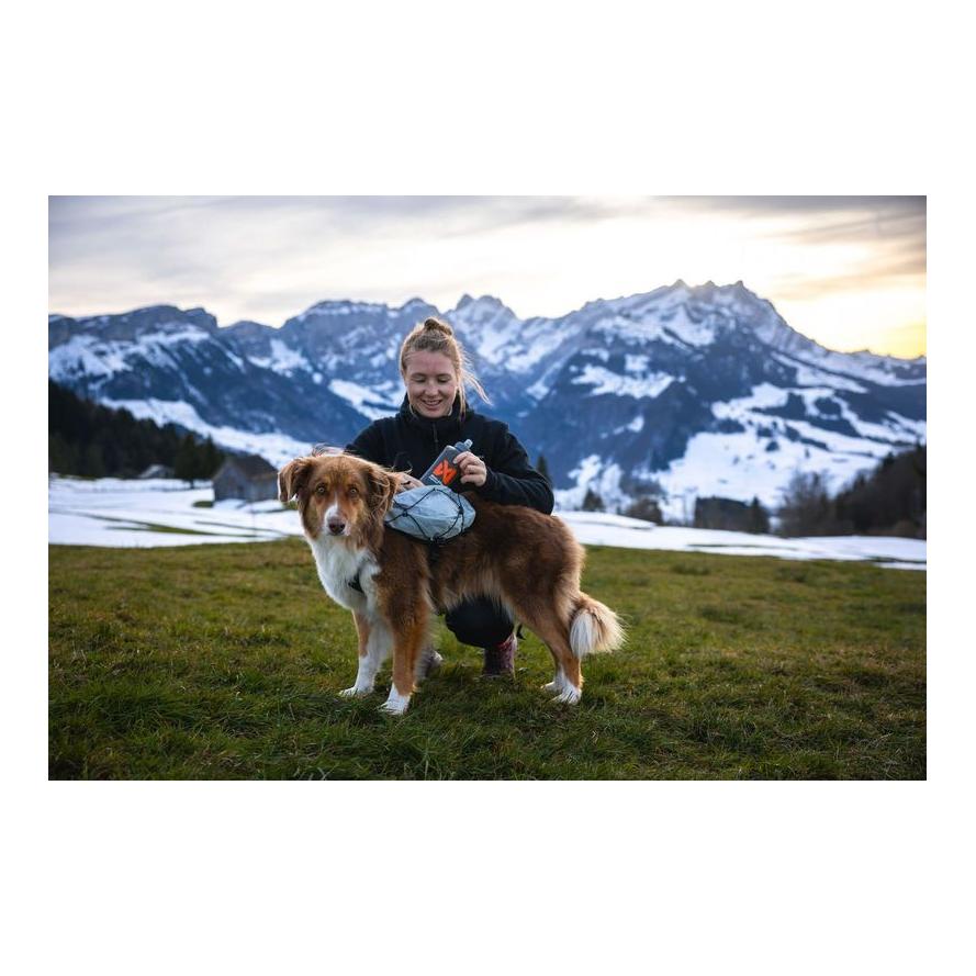Non-stop Dogwear Hunderucksack Trail Light Dog Backpack
