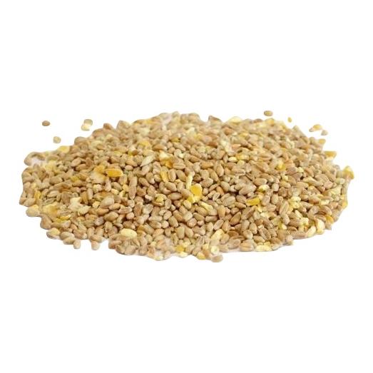 Mühle Rytz Bio Körnermischung für Geflügel