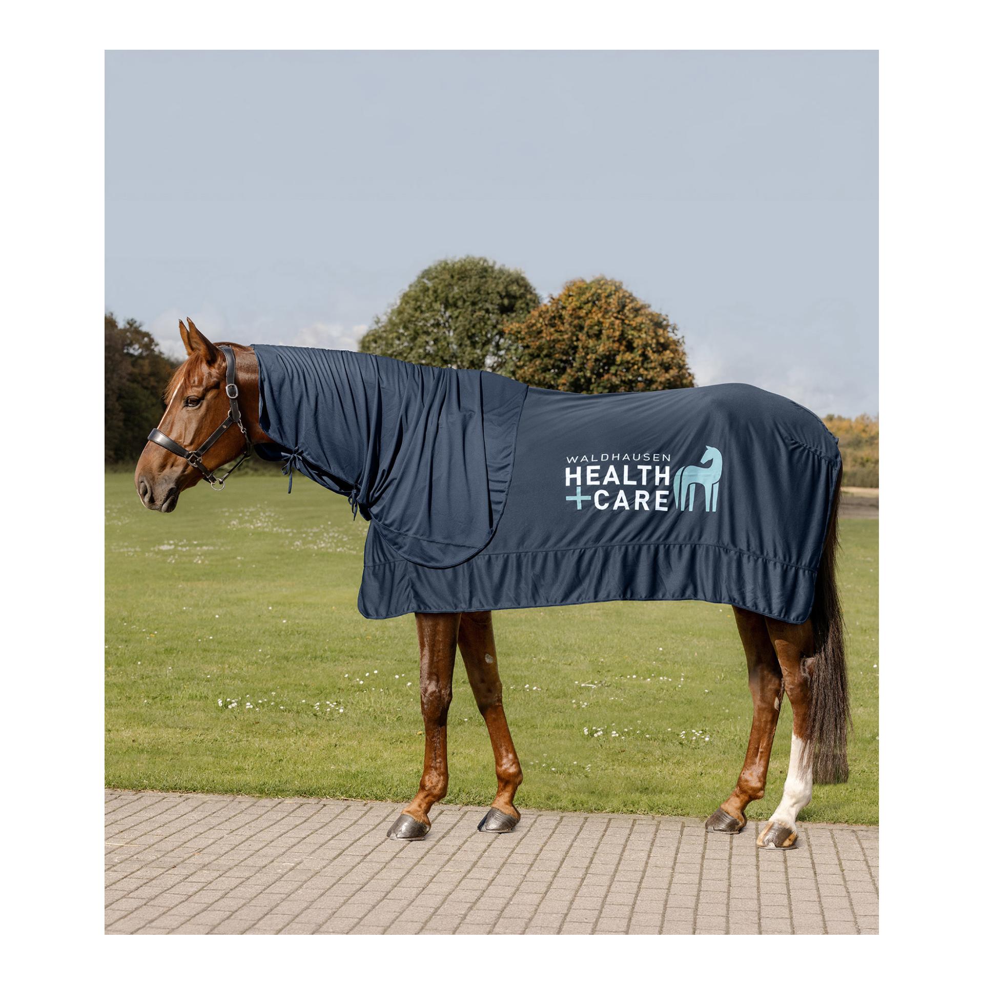 Health + Care Waldhausen Health + Care Ice Layer Decke
