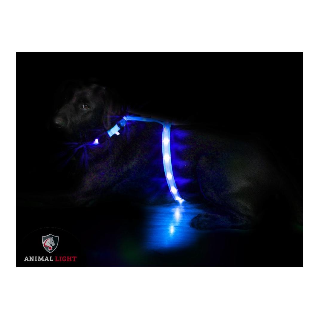Animal Light Leucht - Hundegeschirr "Ninja" - blau