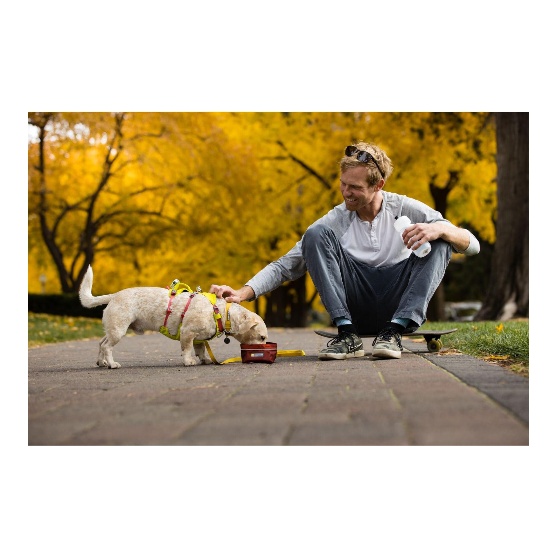Ruffwear Flagline™ Hundegeschirr