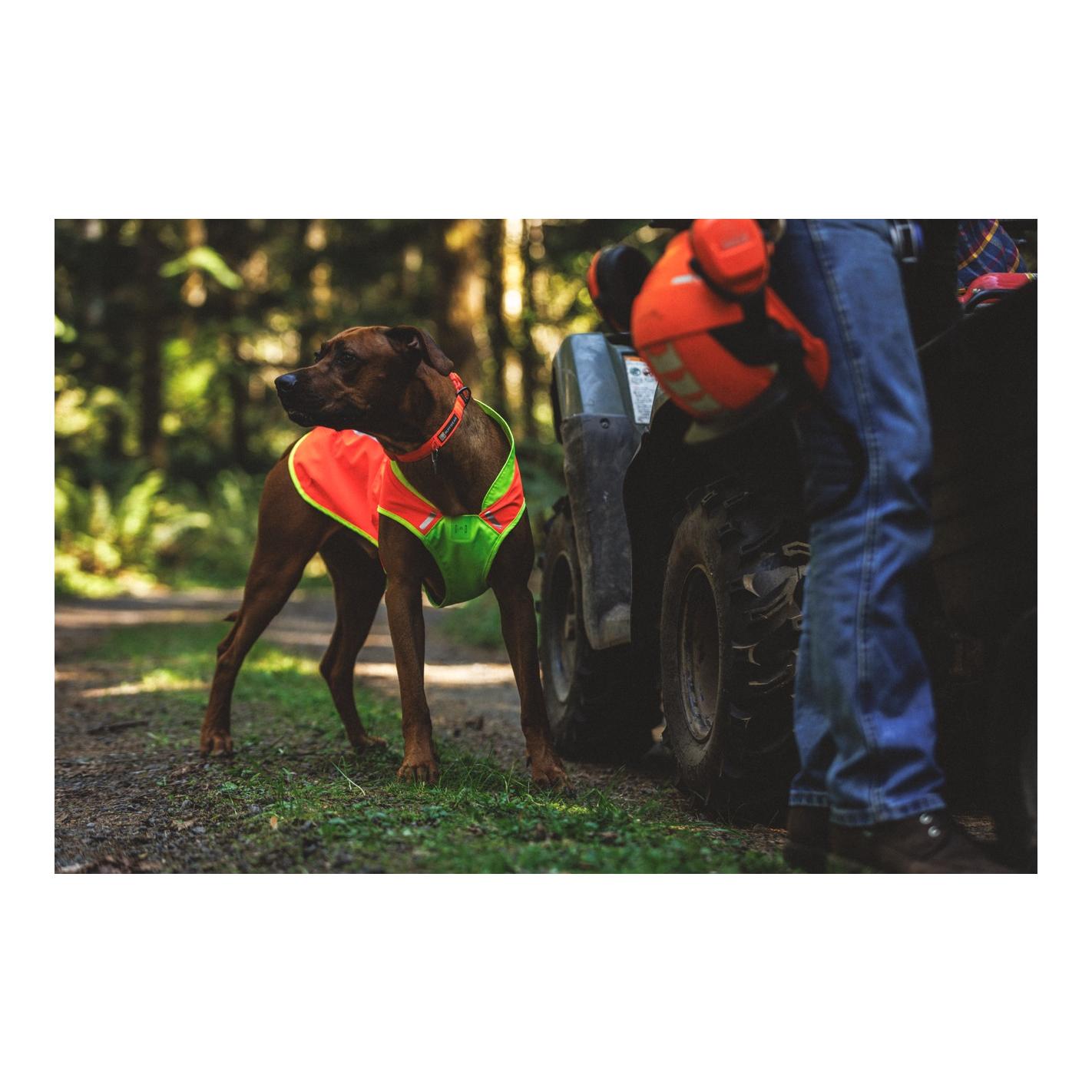 Ruffwear Lumenglow™ High-Vis Hundeweste