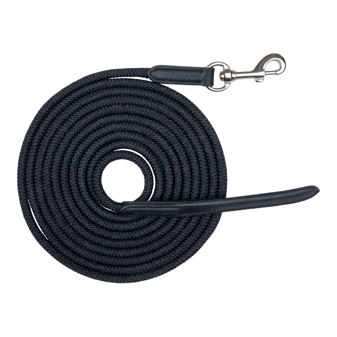 Waldhausen Bodenarbeitsseil leicht mit Karabiner
