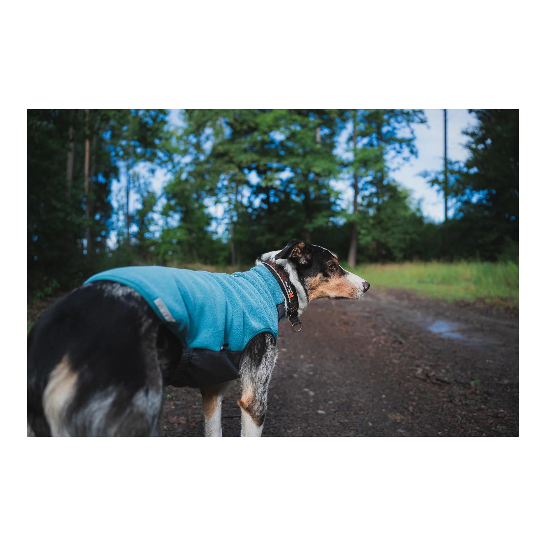 Non-stop Dogwear Pull polaire pour chien Trail quest