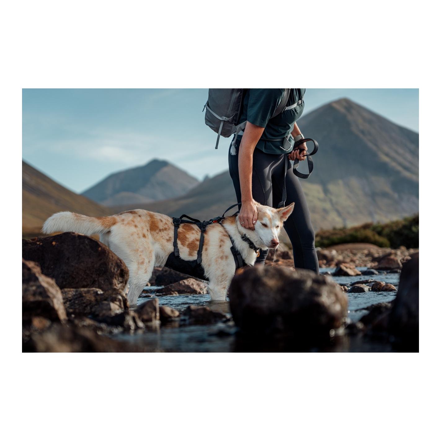 Ruffwear Ridgeline™ Collier de chien