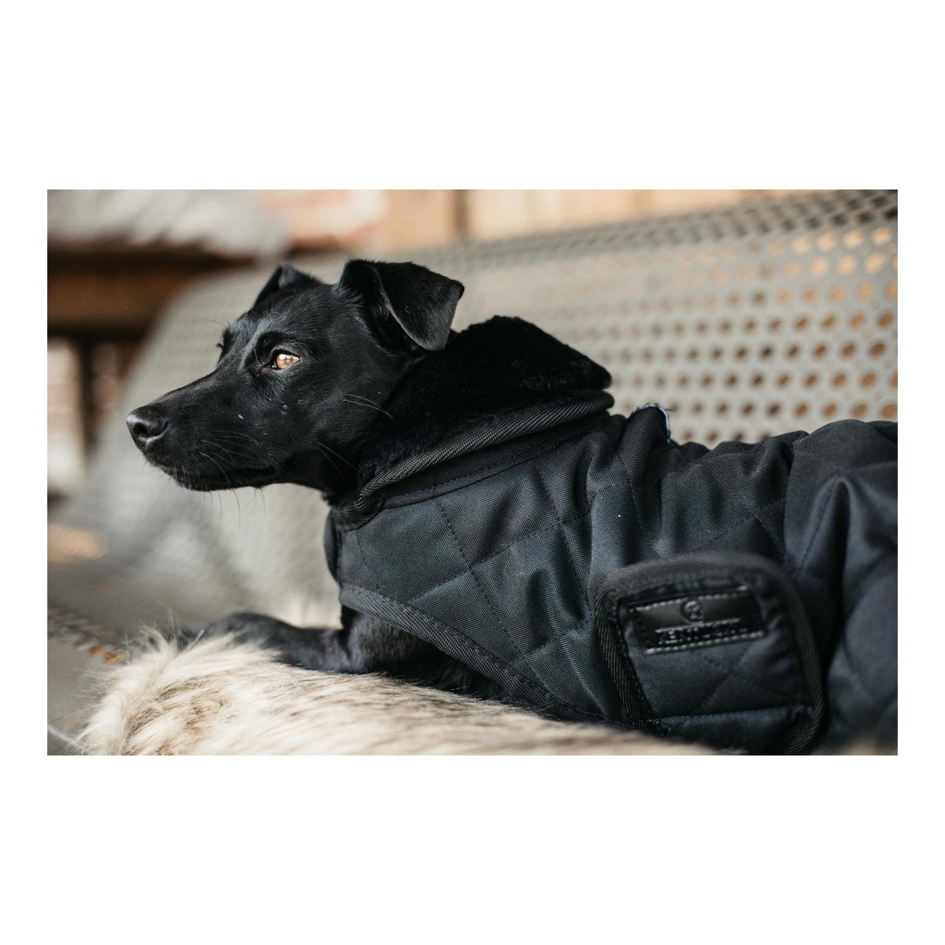 Kentucky Dogwear Manteau pour chien Original - black/black