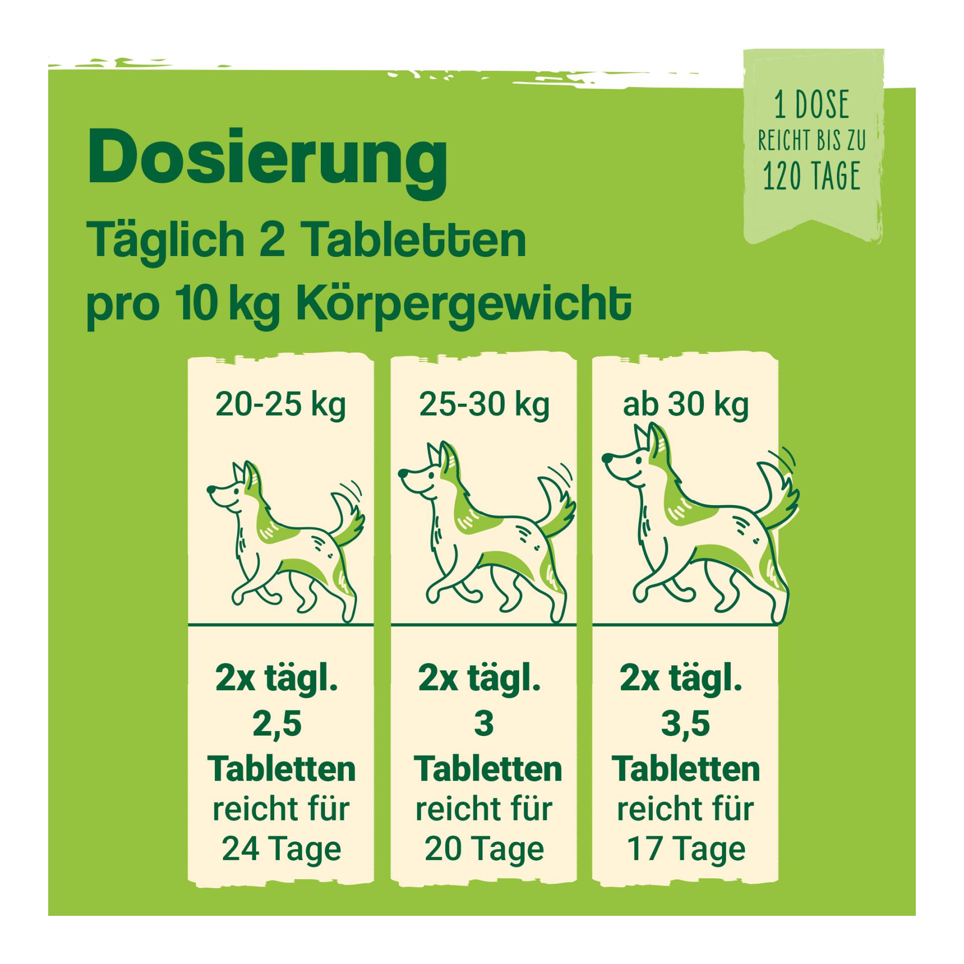IdaPlus Darmbiotic - Probiotika zur Darmsanierung