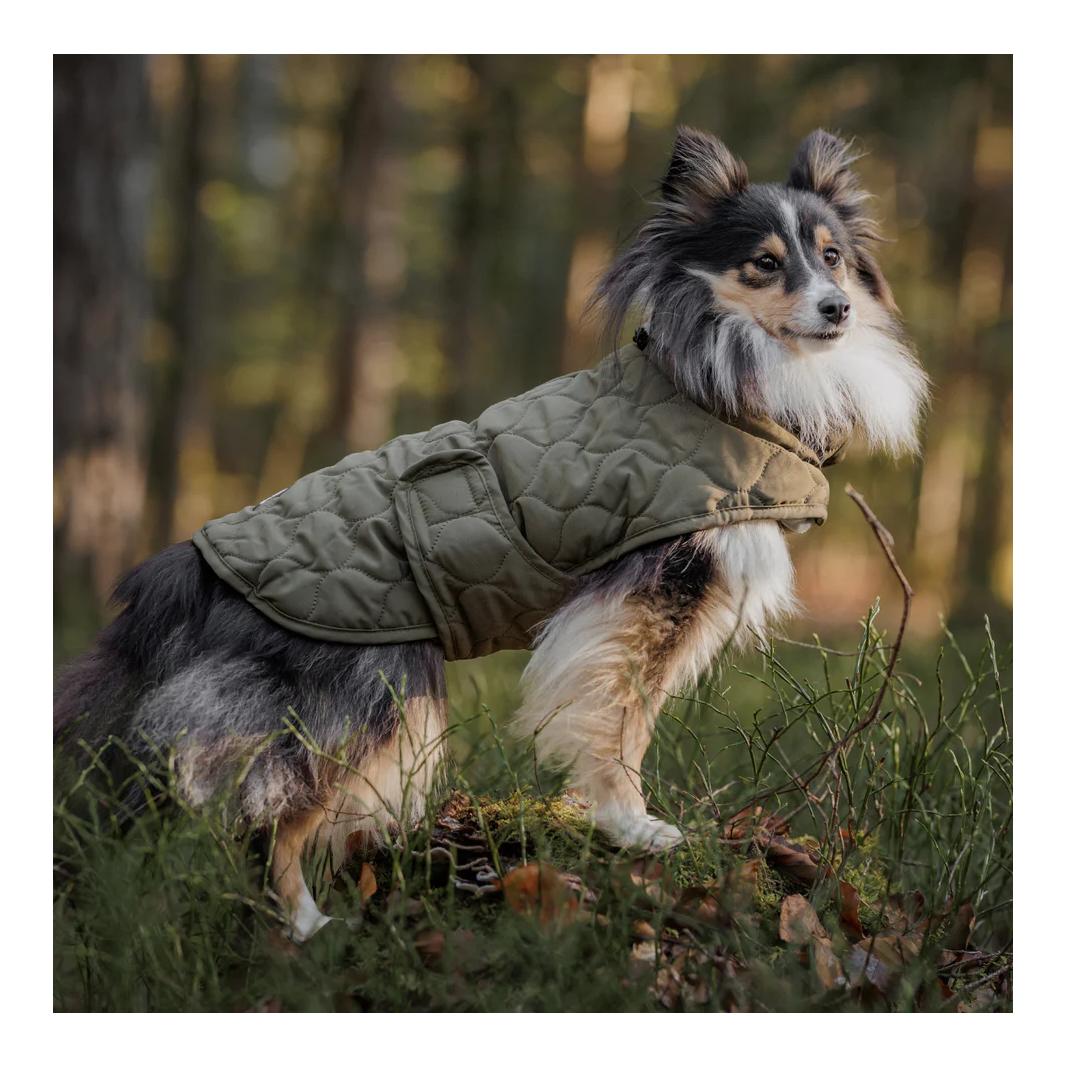 Wanderpfote Steppjacke für Hunde