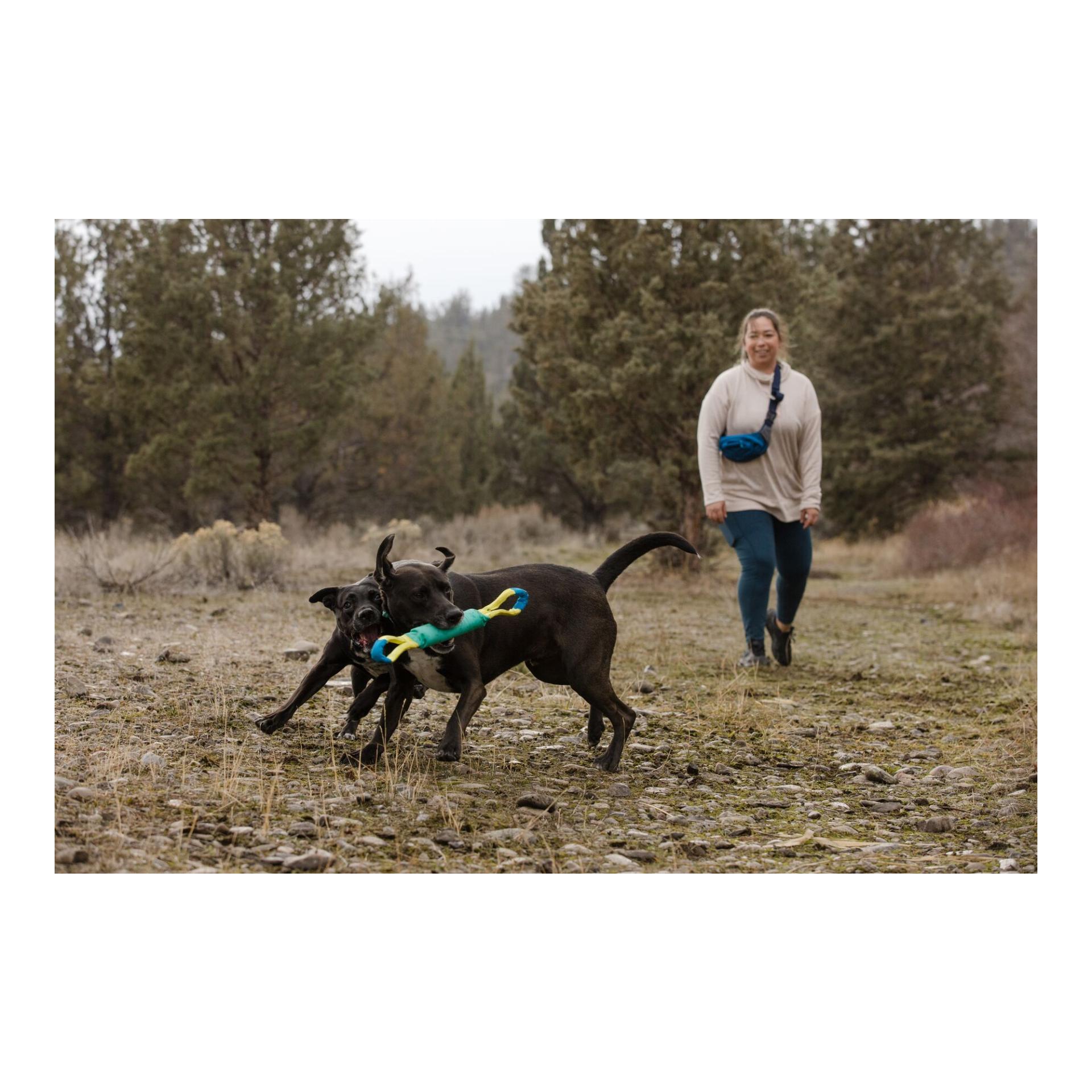 Ruffwear Pacific Loop™ Hundespielzeug
