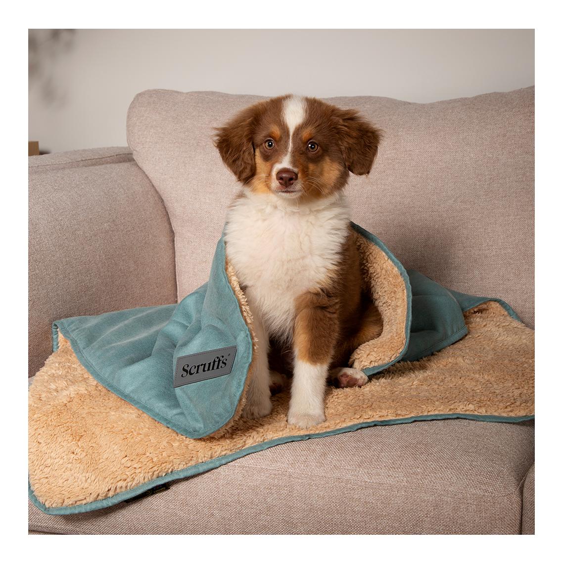 Scruffs Kuscheldecke für Hunde
