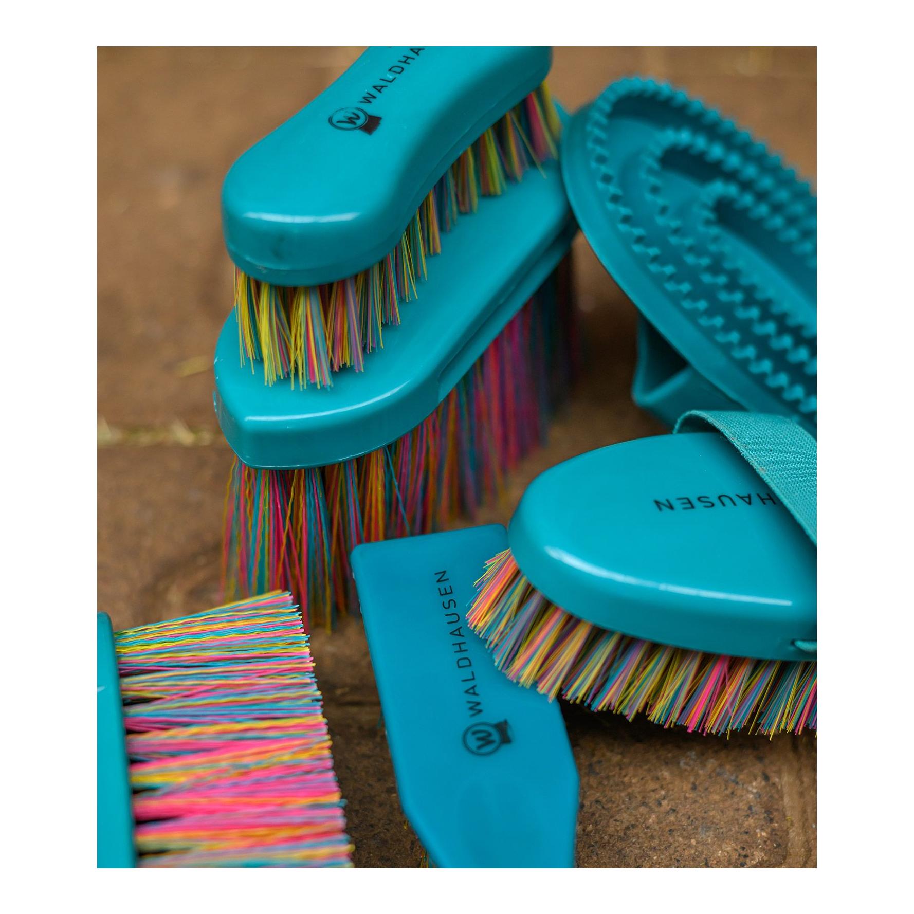 Waldhausen Striegel Rainbow