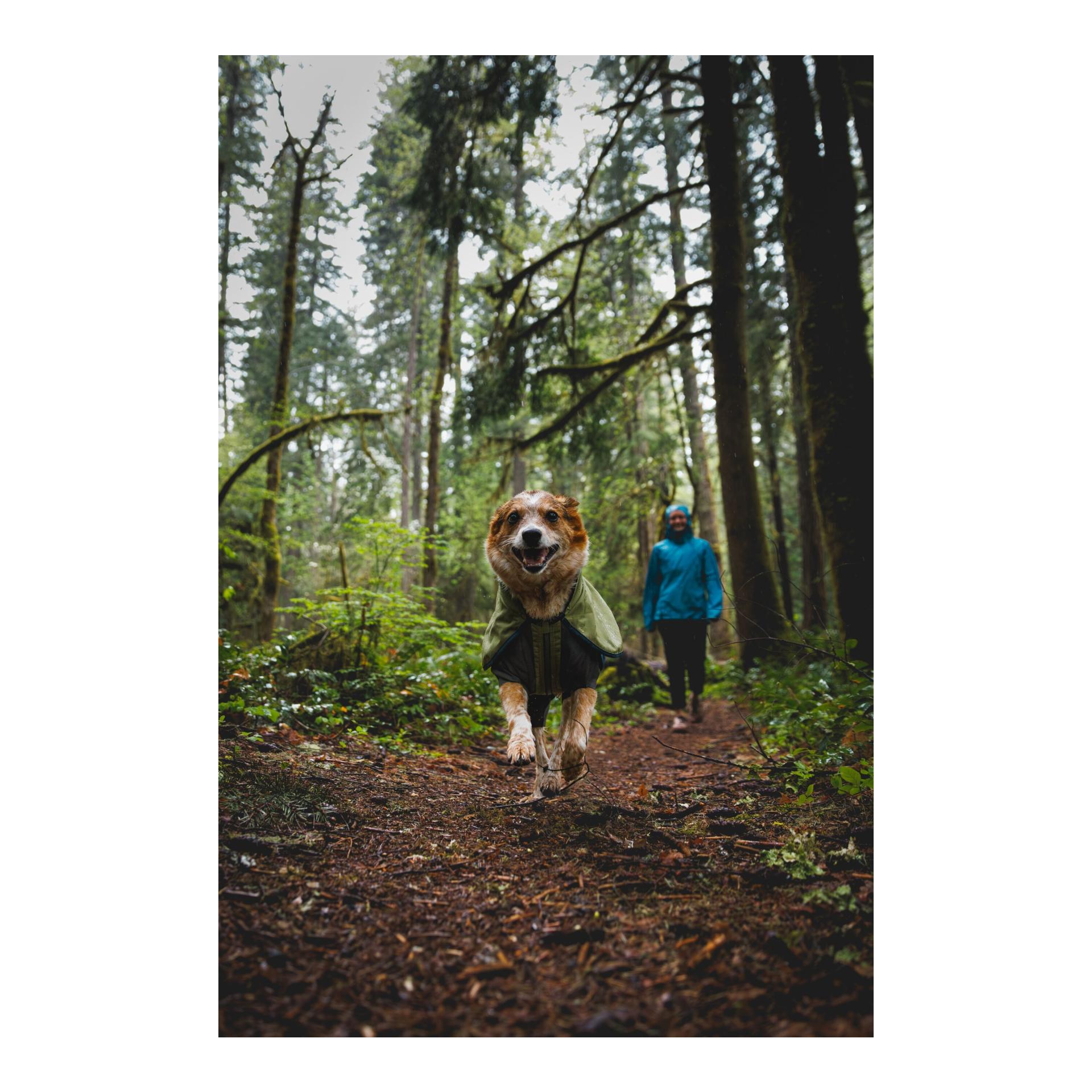 Ruffwear Sun Shower Coverall Hundemantel