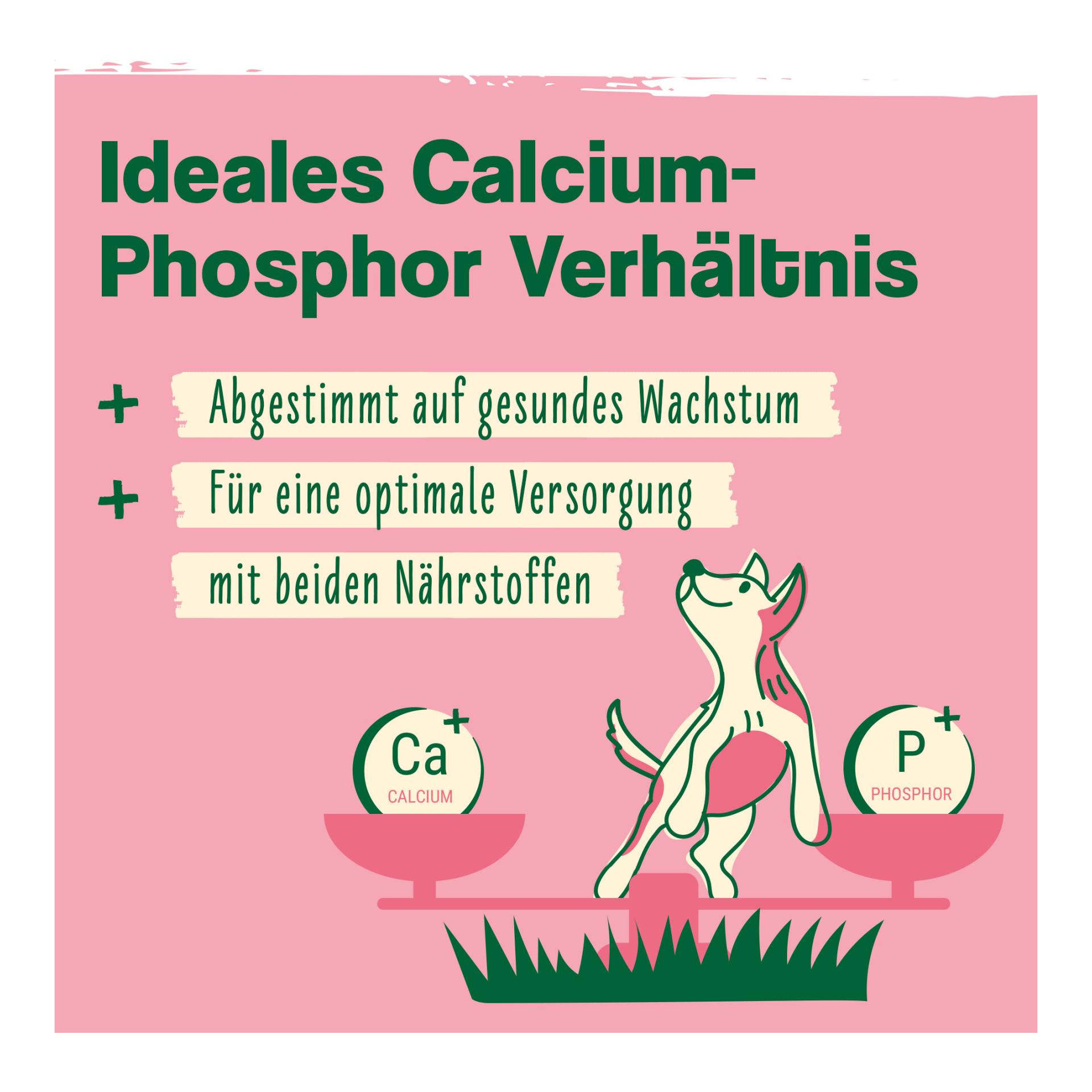 IdaPlus Junior Complex