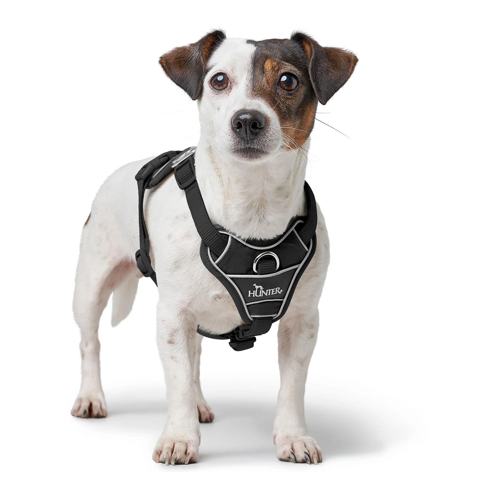Hunter Hundegeschirr Divo Up